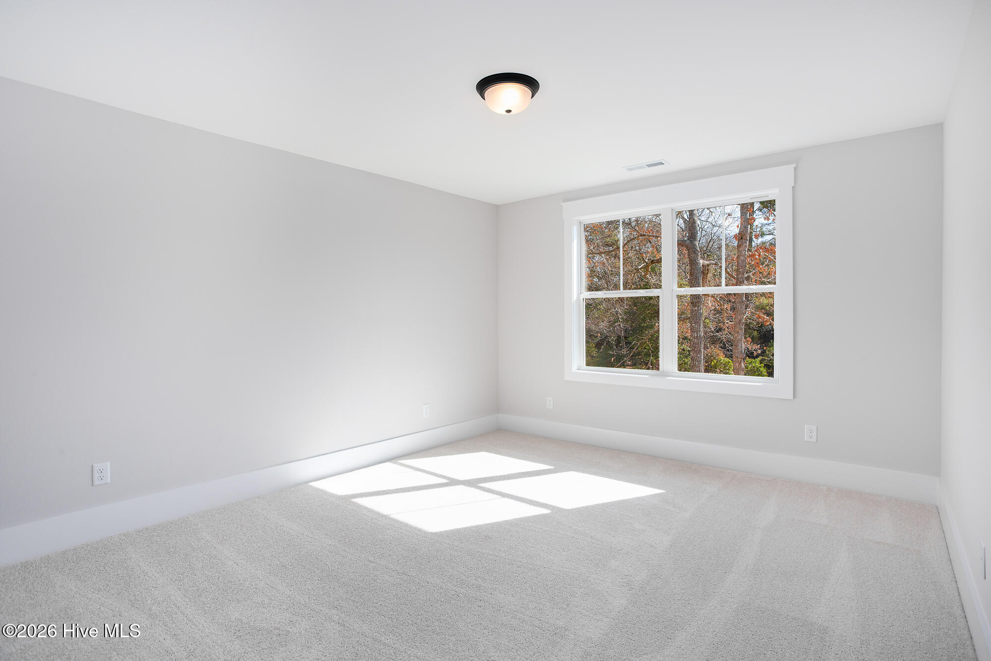 100564009 | Photo 25