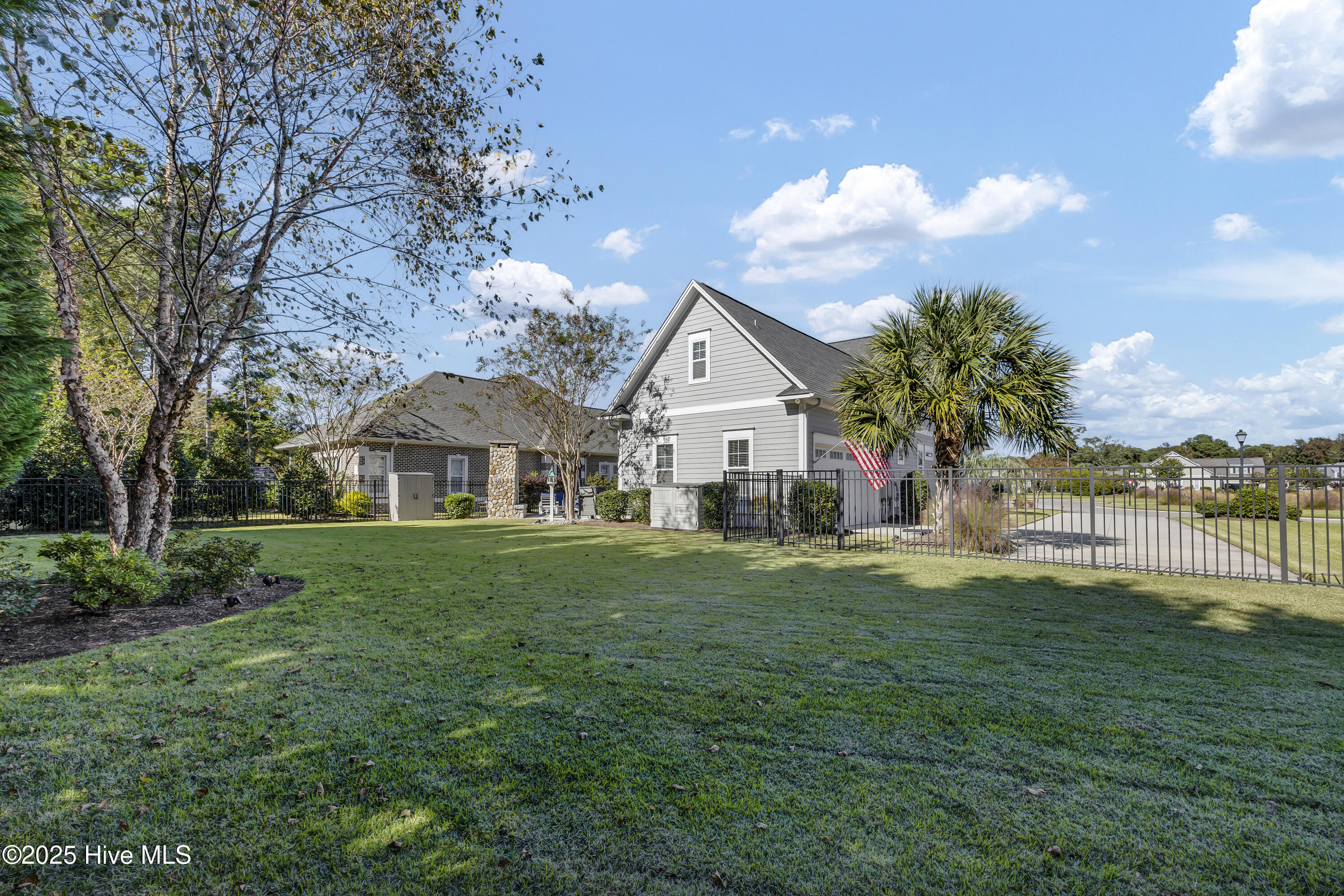 100538273 | Photo 45