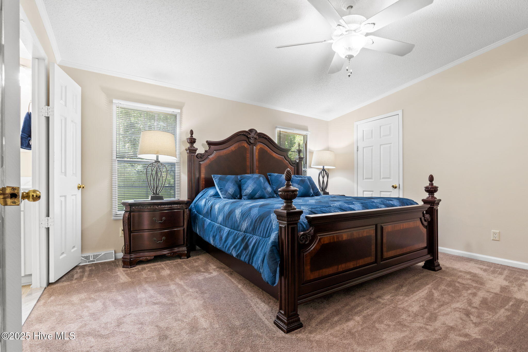 100515279 | Photo 27