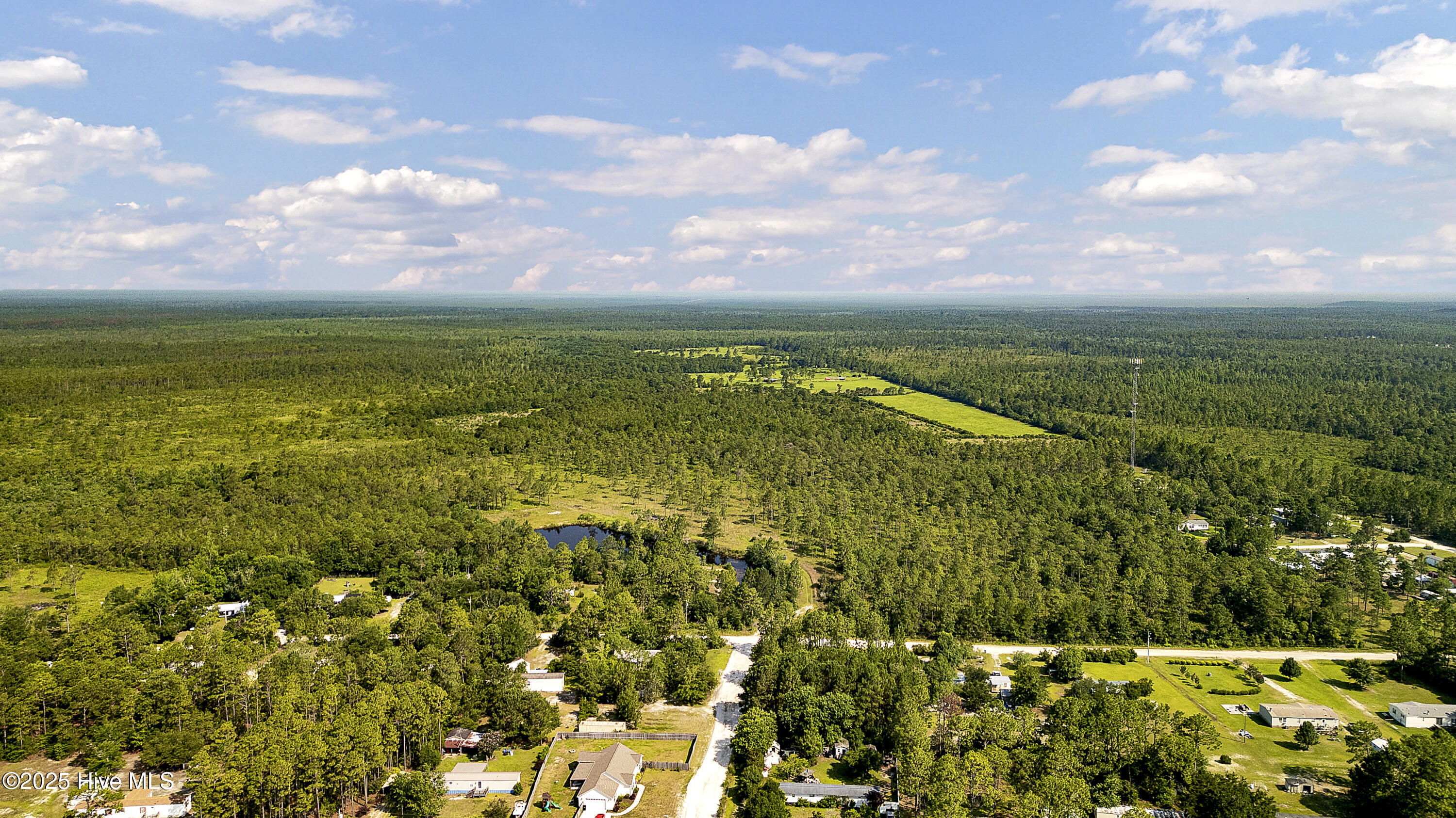 100516519 | Photo 18