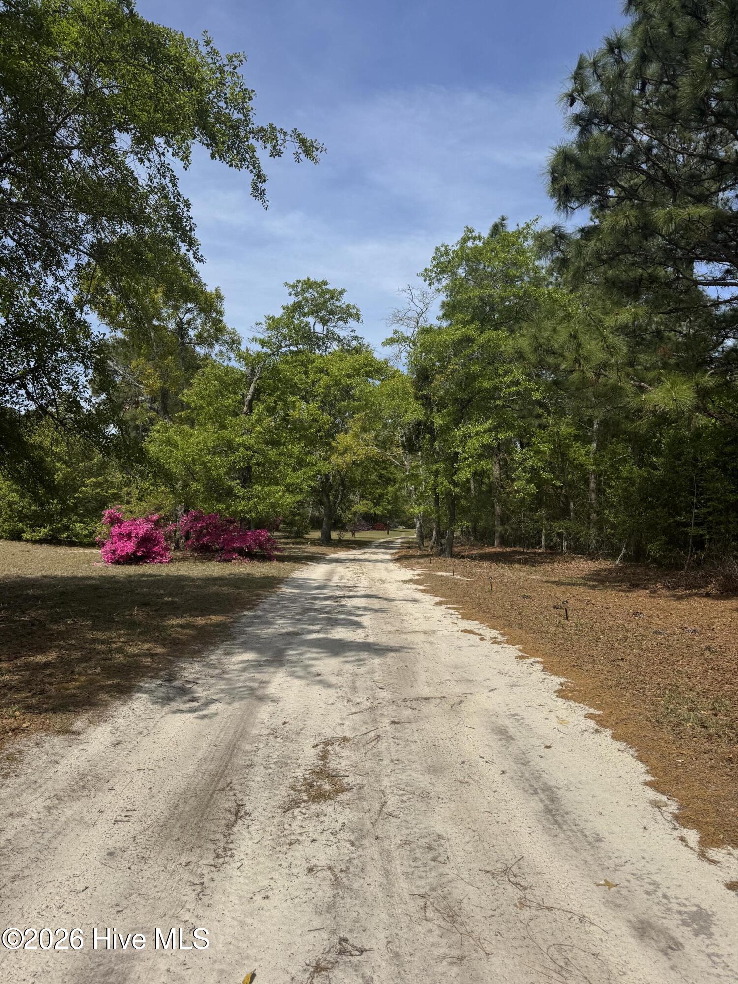 490 Springhill Church Road, Hamlet, NC, 28345