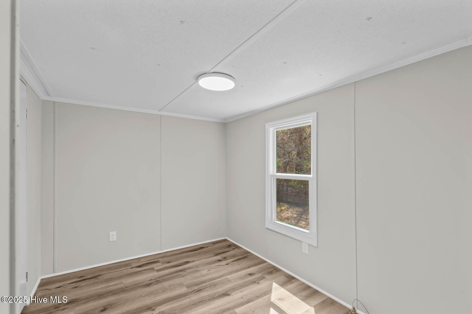 100565795 | Photo 25