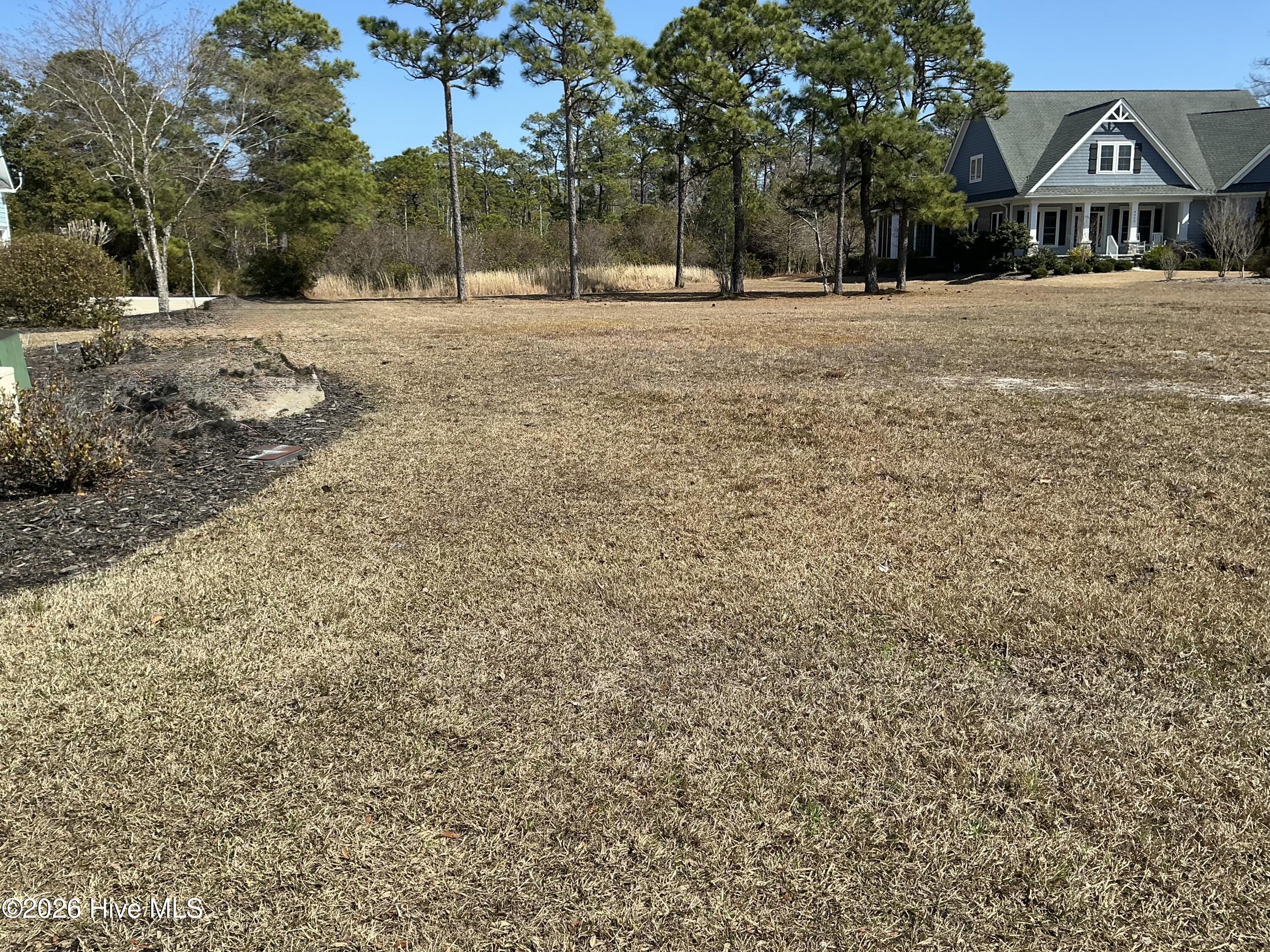 100558707 | Photo 10