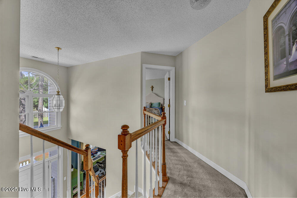 100537017 | Photo 15