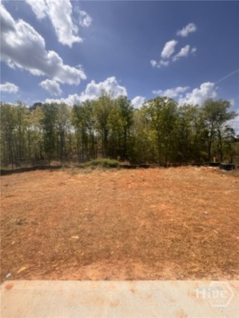 Wooded View