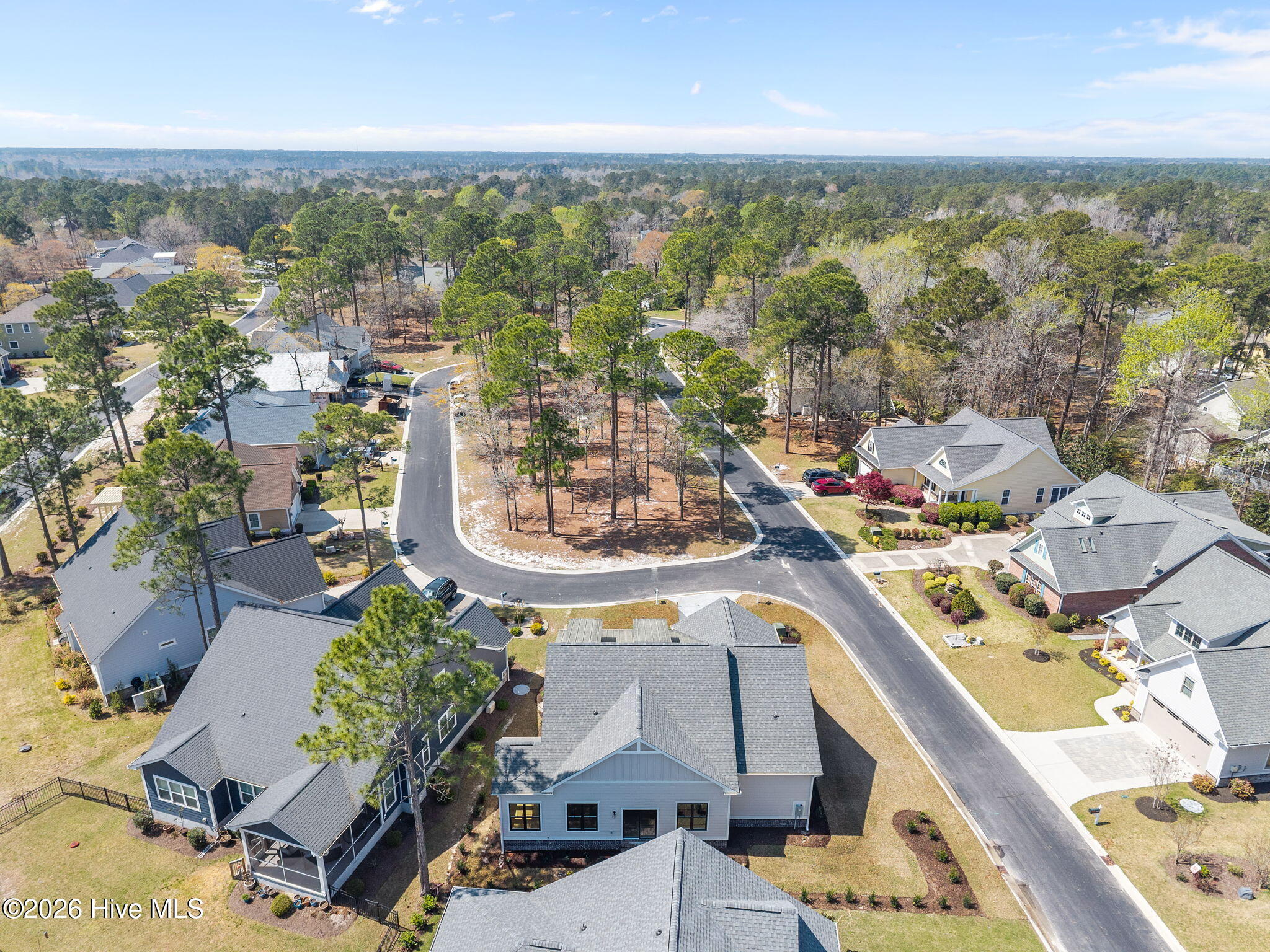 100564370 | Photo 49