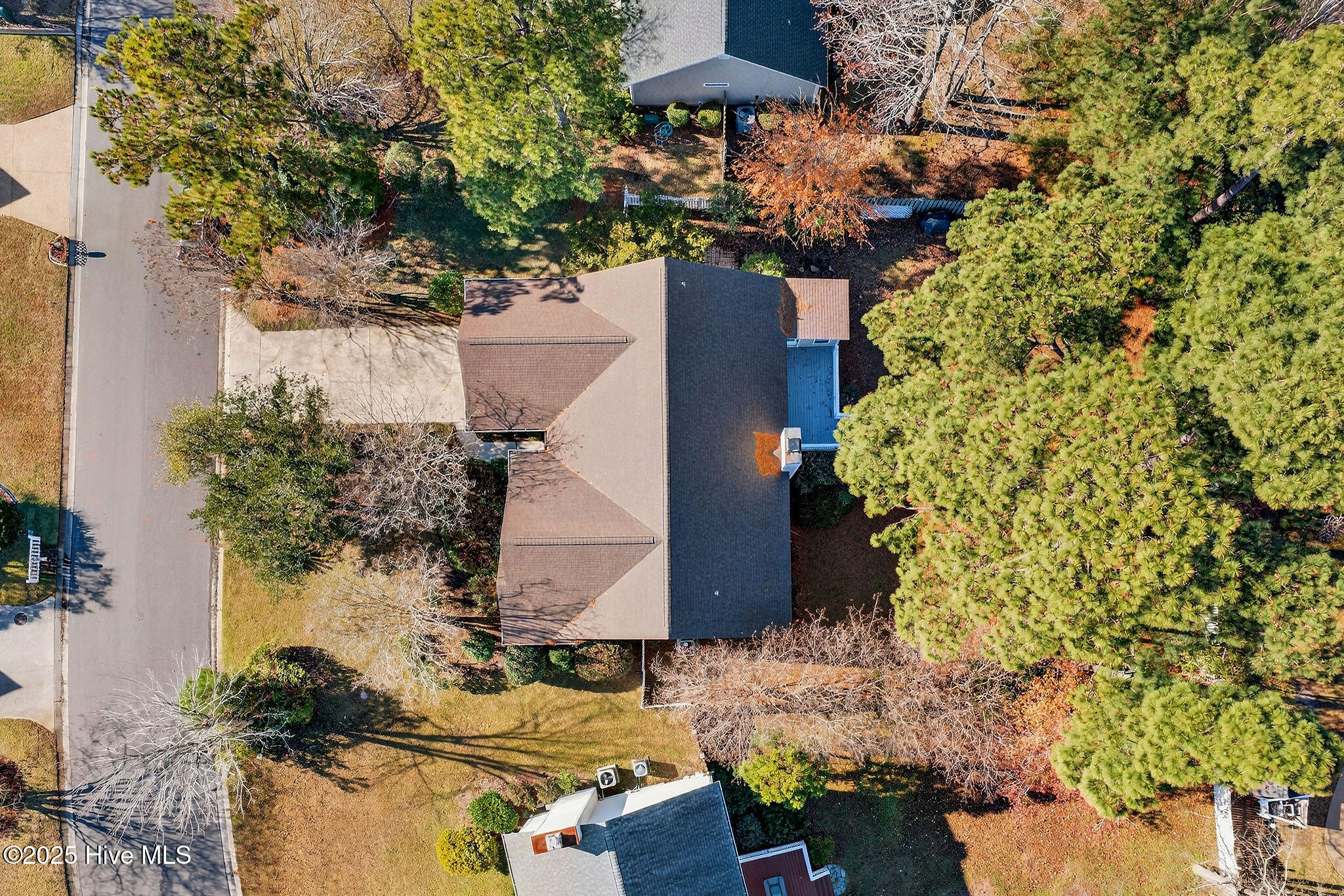 100544909 | Photo 35