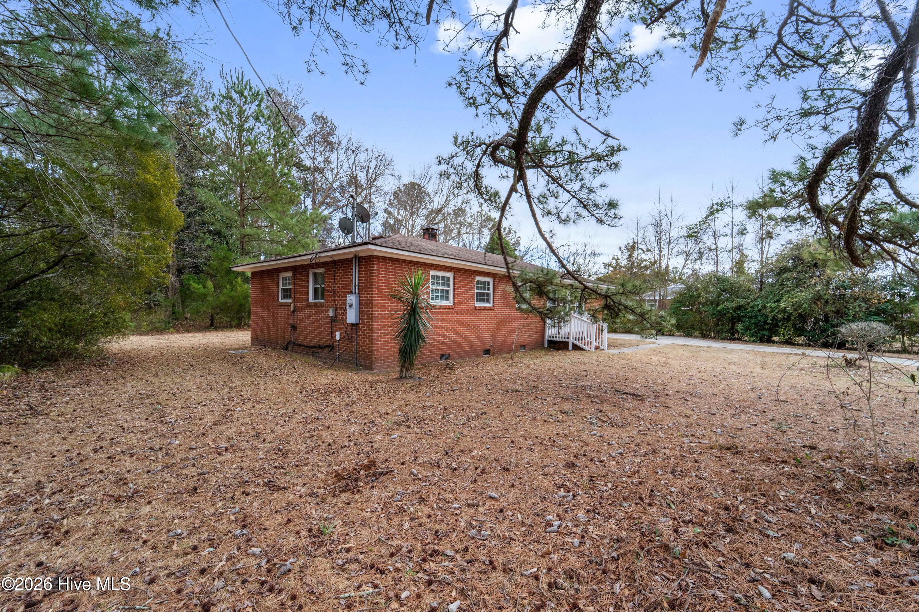 100557245 | Photo 36