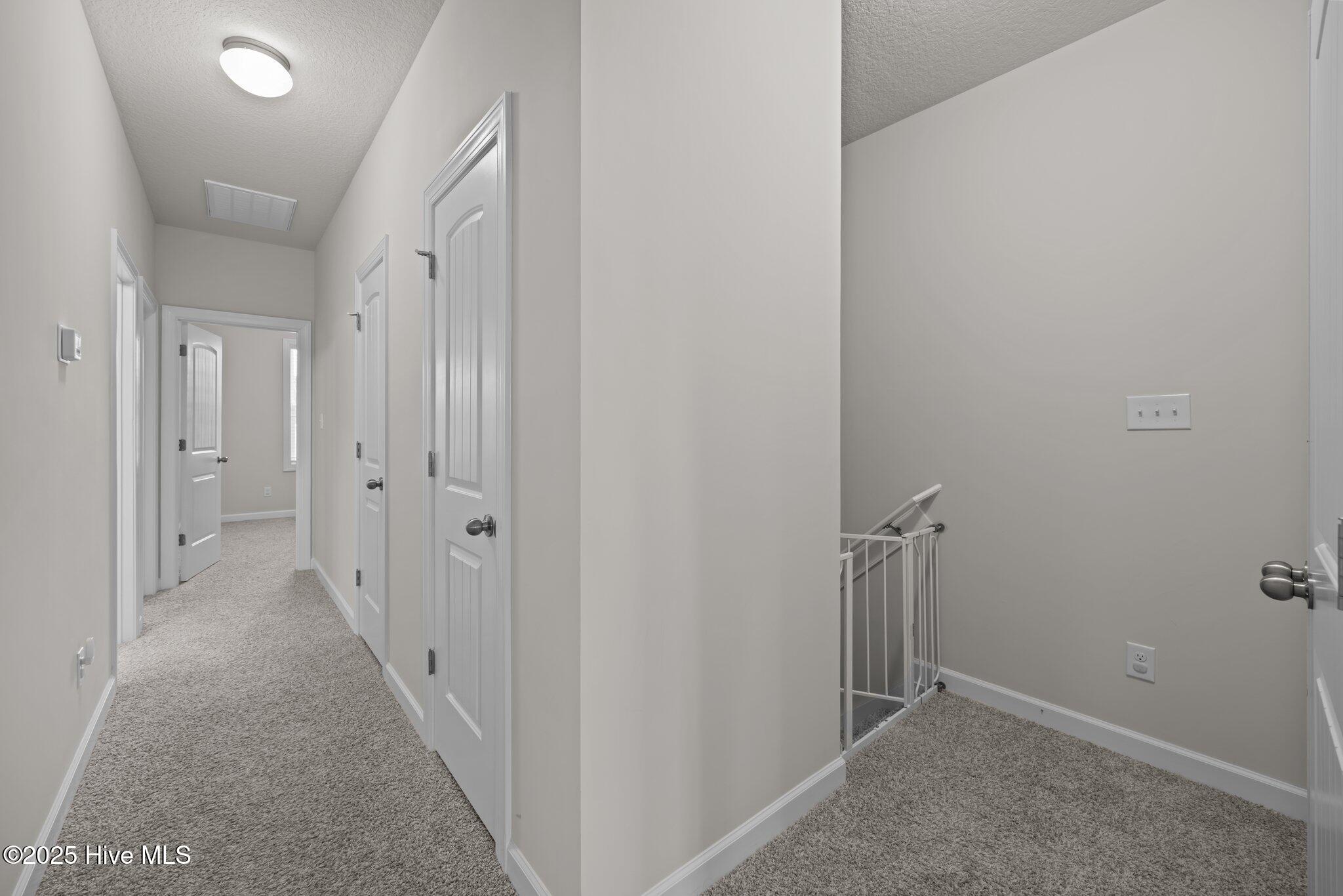 100557164 | Photo 17