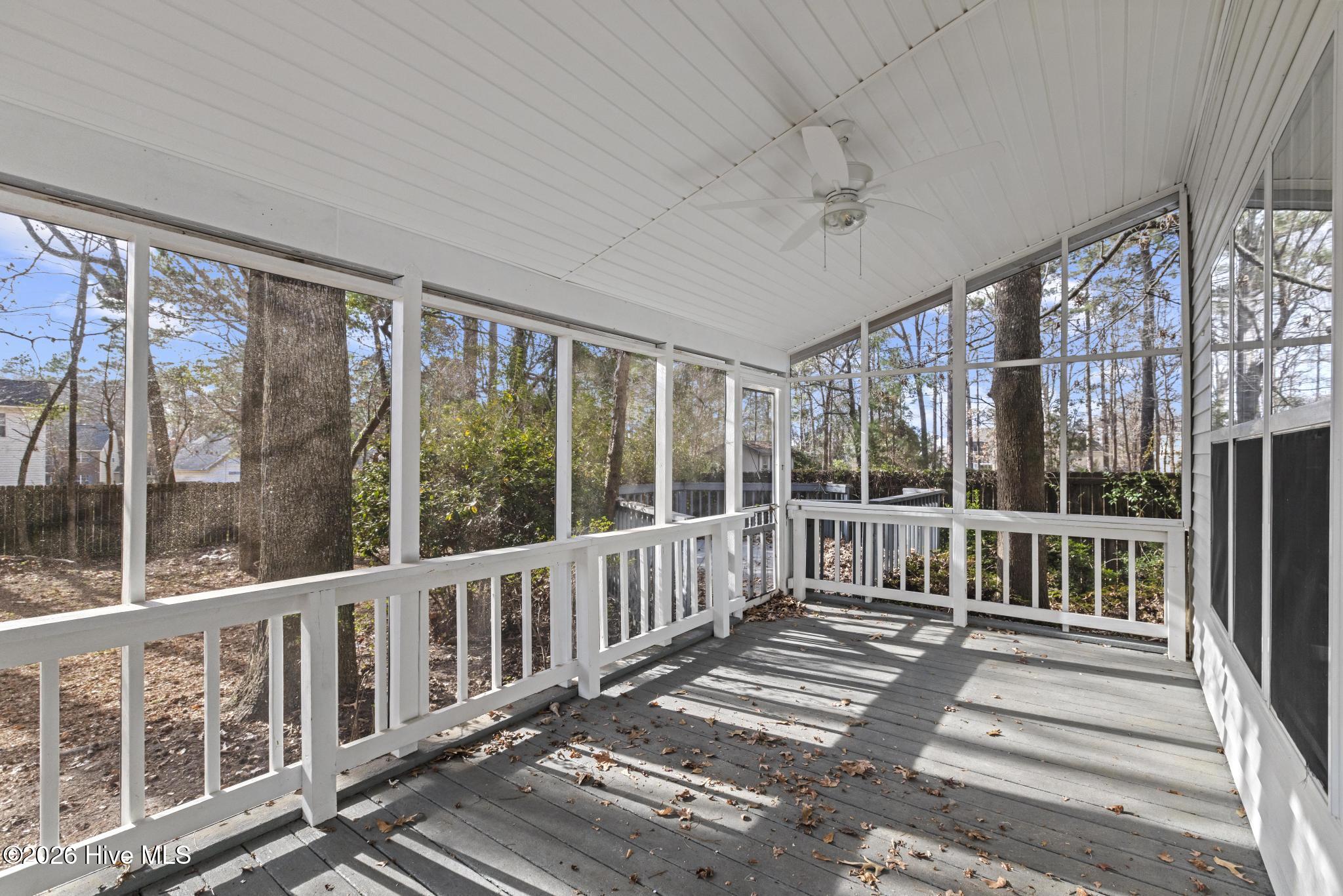 100548531 | Photo 37