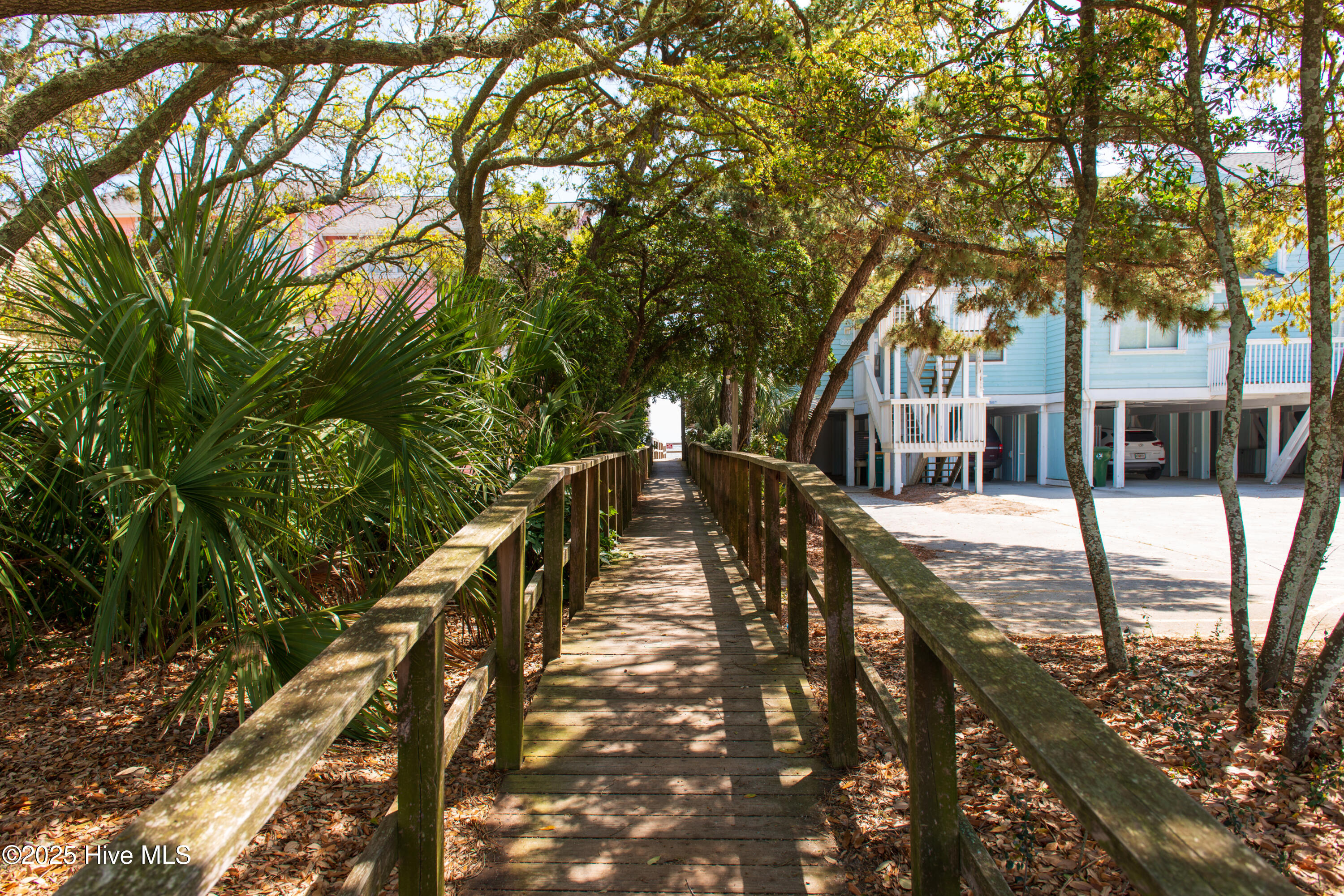 100556360 | Photo 65