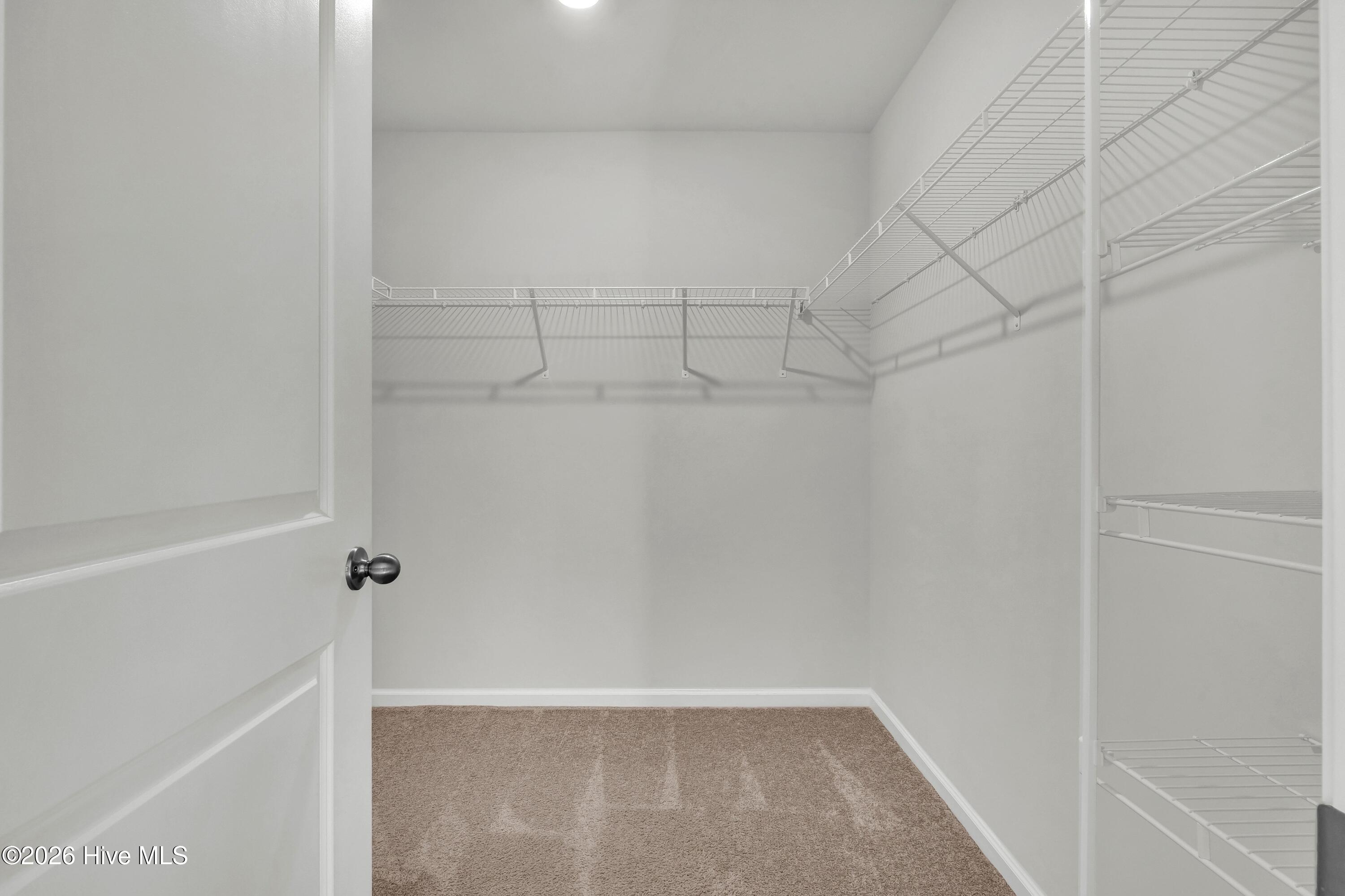 100558236 | Photo 18