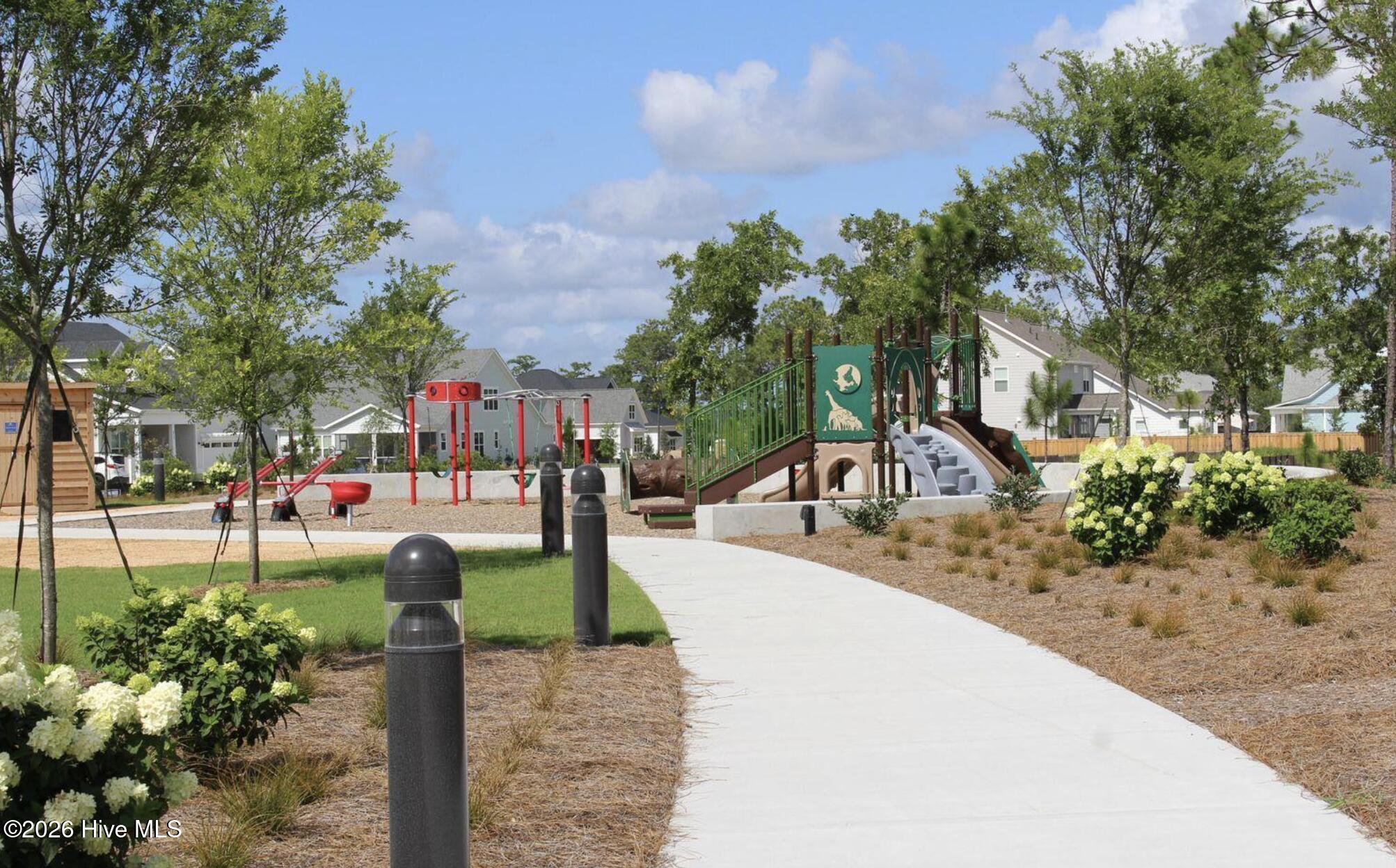 100551169 | Photo 39