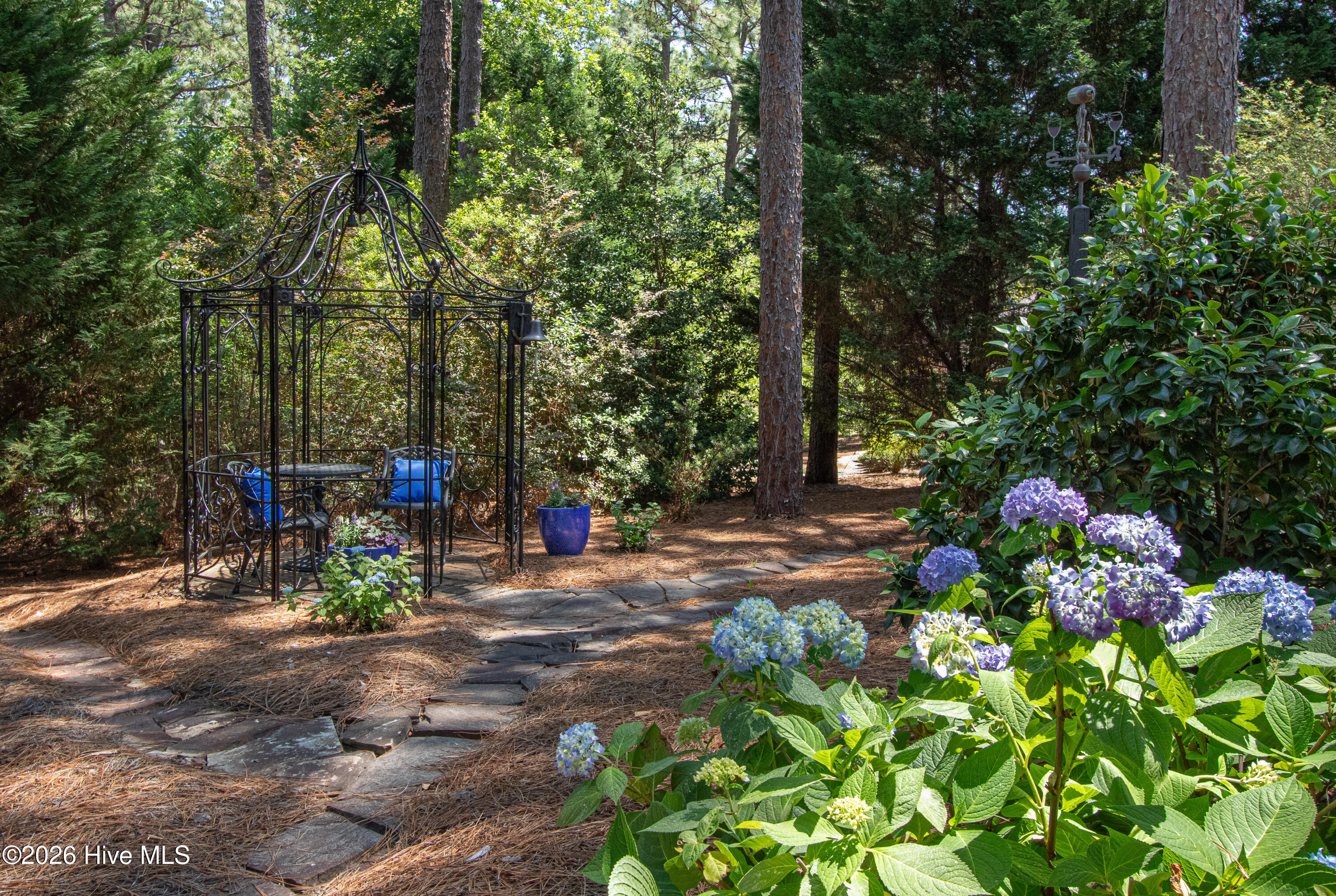 BackYard3
