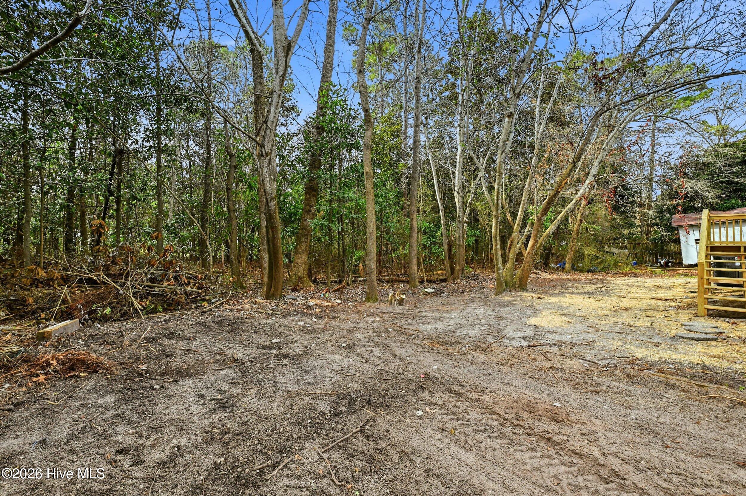 100552773 | Photo 29