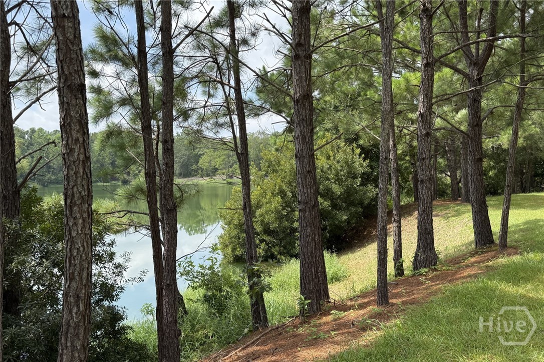 5th image of 1954 Oak Level Rd, Richmond Hill, GA 31324 | MLS# SA362173
