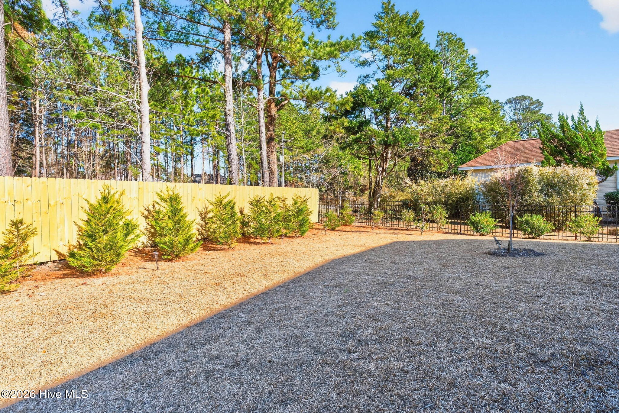 100555418 | Photo 40