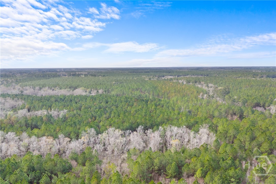 1000 Old River Road S, Brooklet, GA, 30415