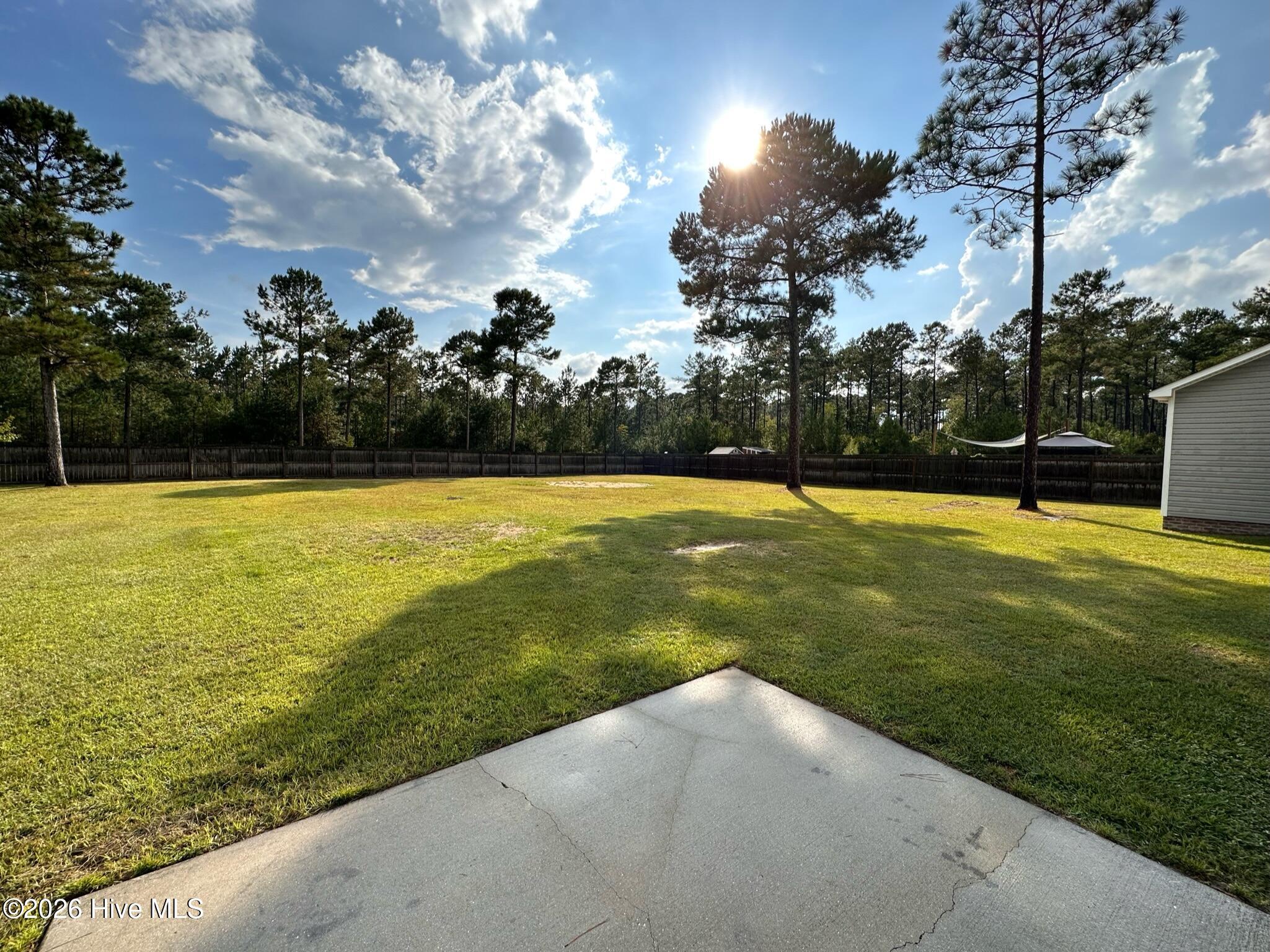 100557868 | Photo 54