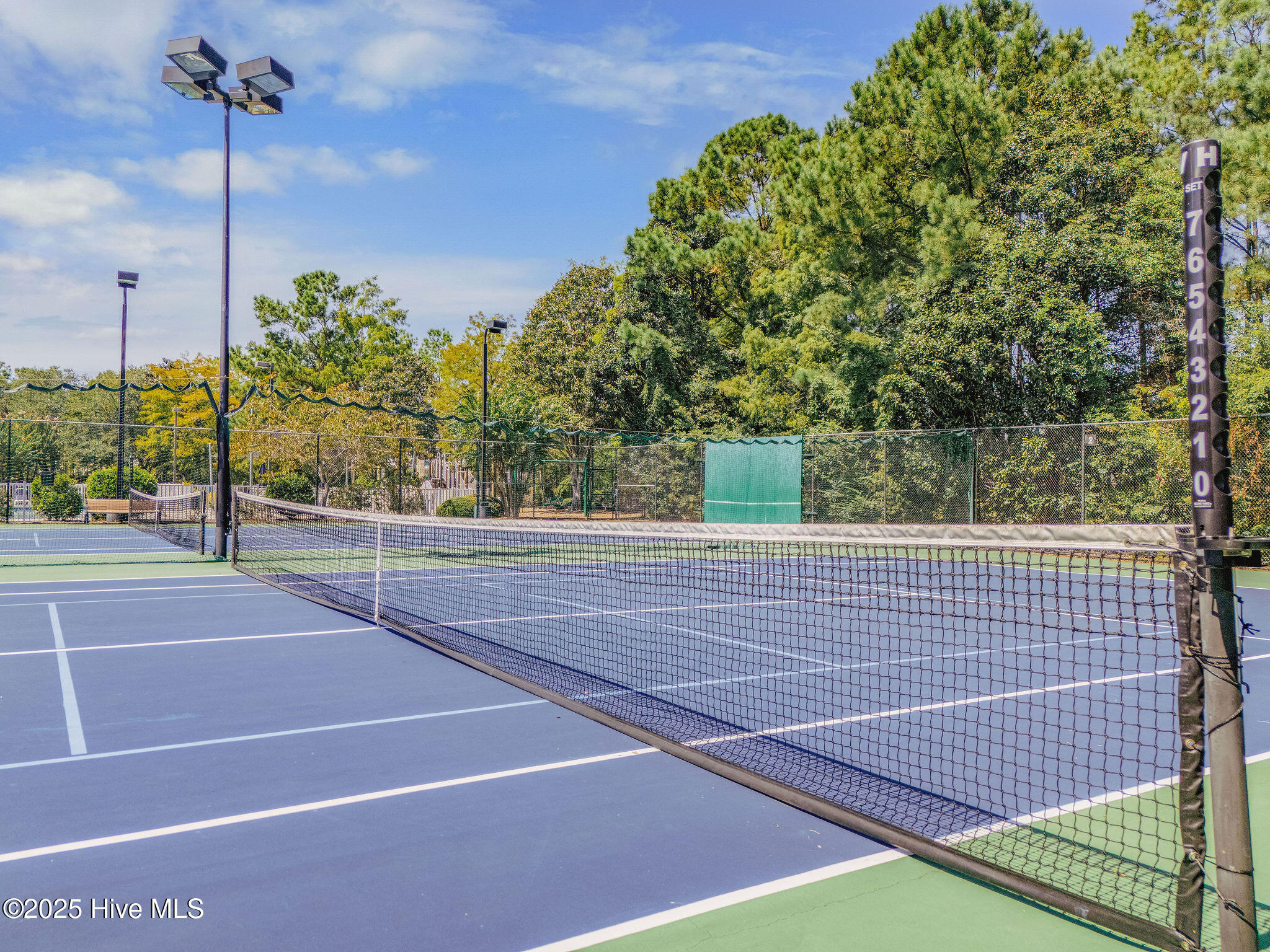 100532416 | Photo 91