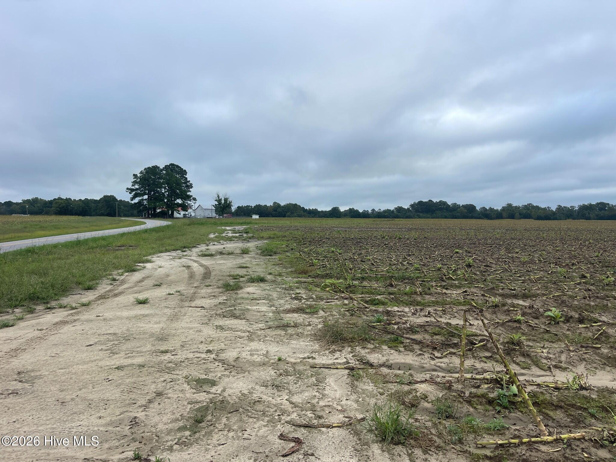 20th image of 0 Huckleberry Rd, Lucama, NC 27851 | MLS# 100591651