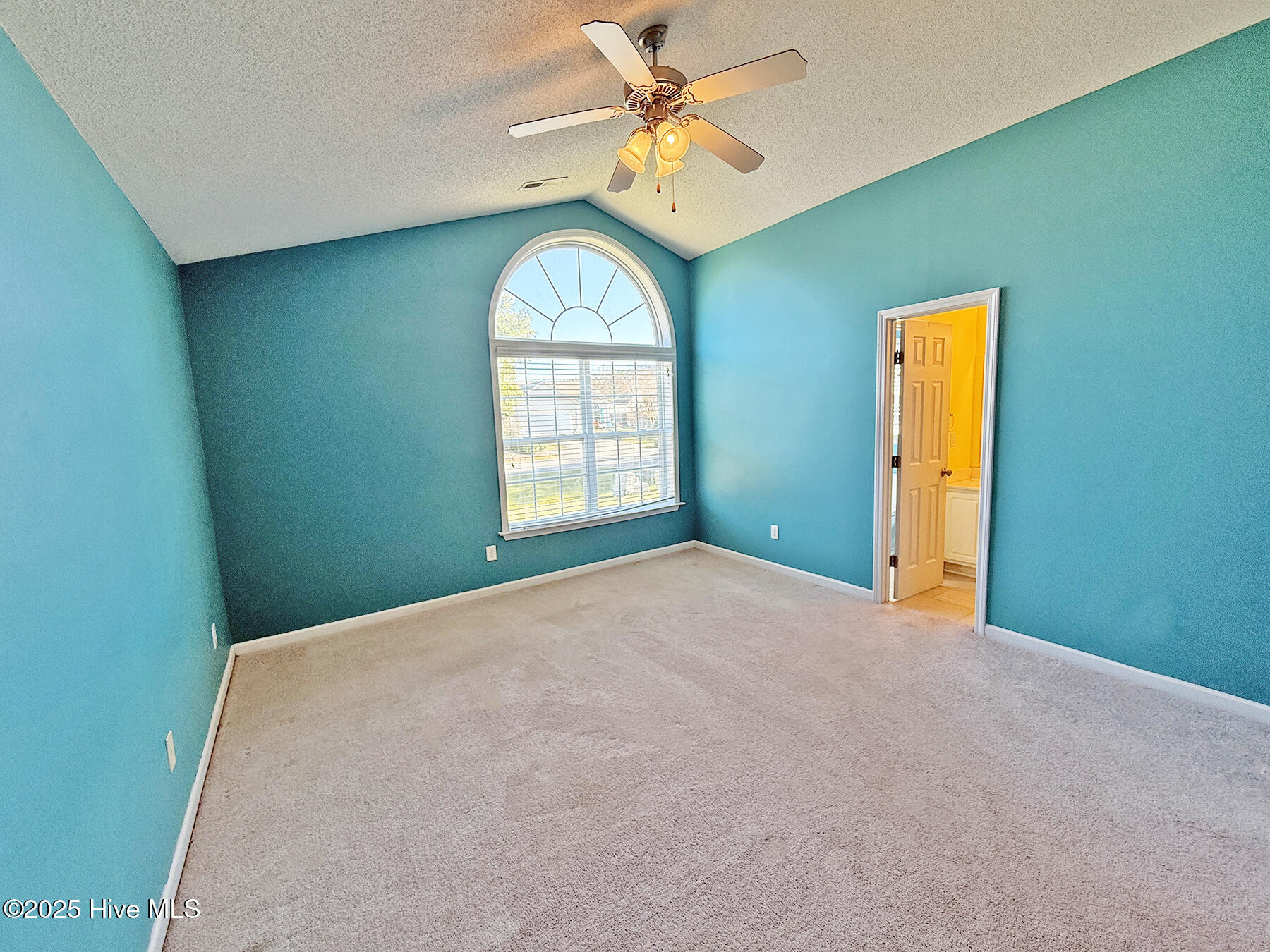 100537357 | Photo 35