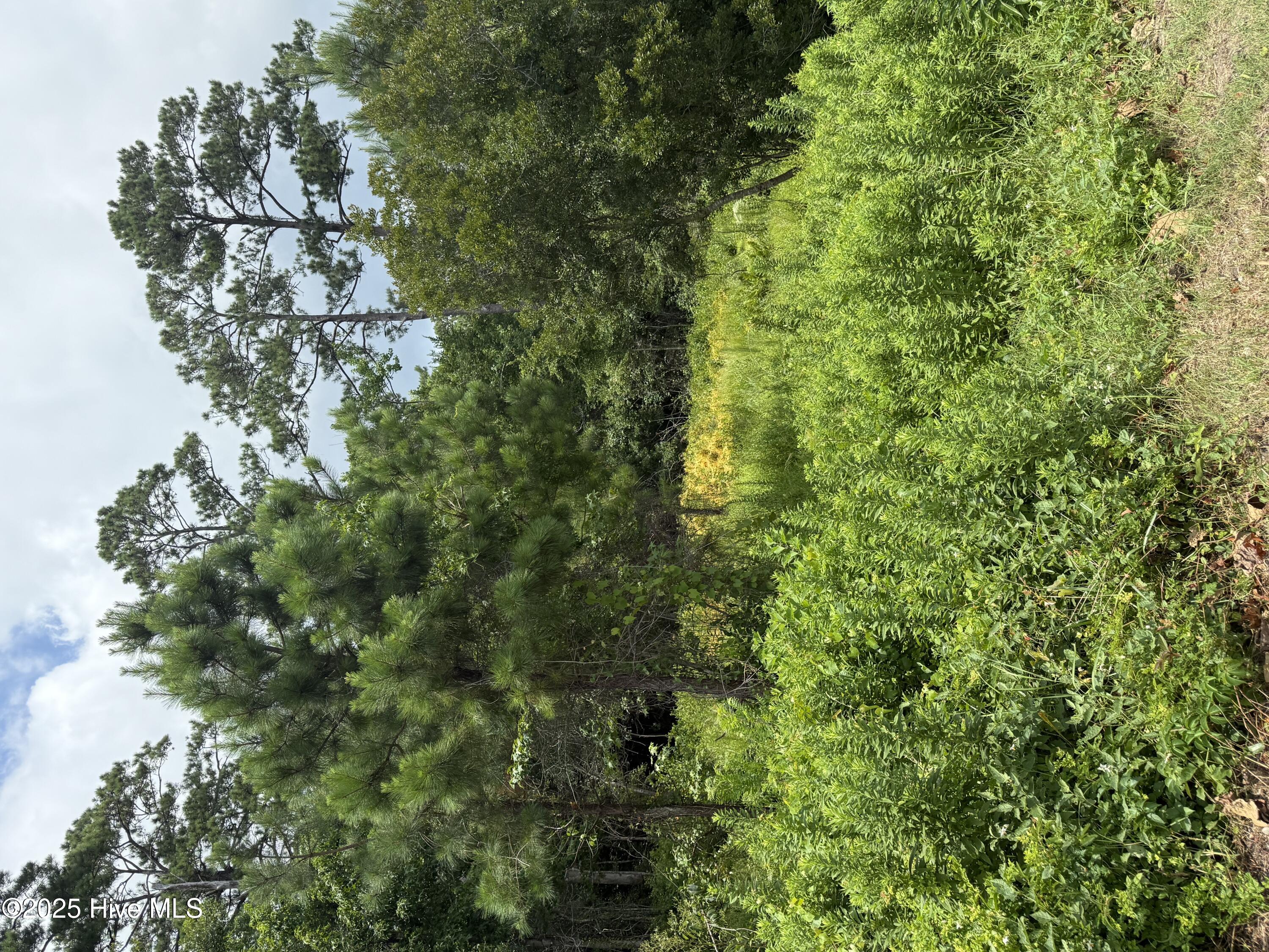 1015 Meridian Drive image