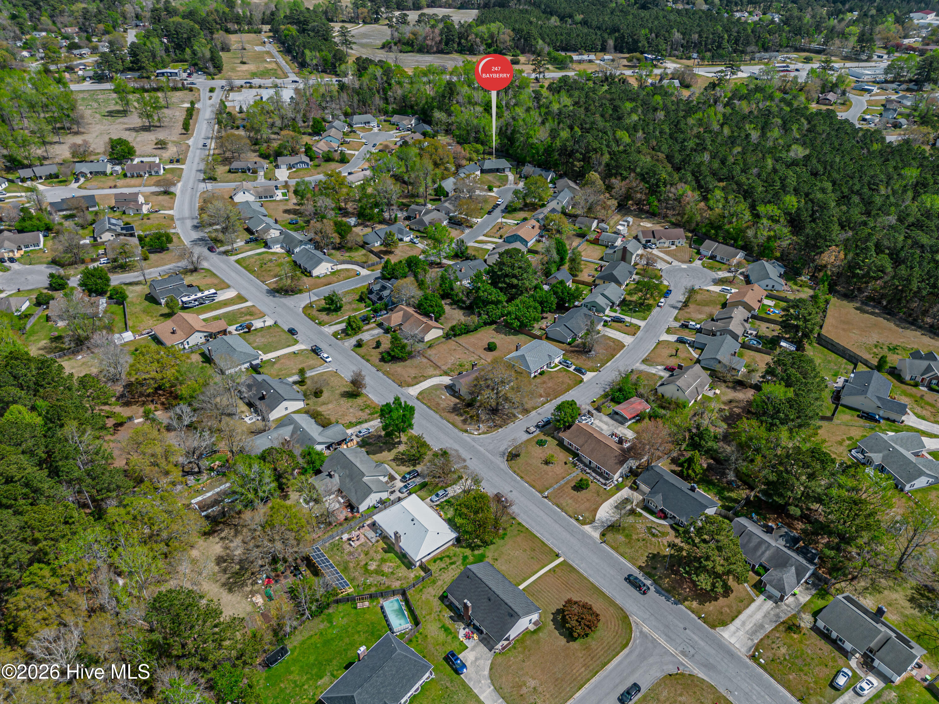 100569074 | Photo 73