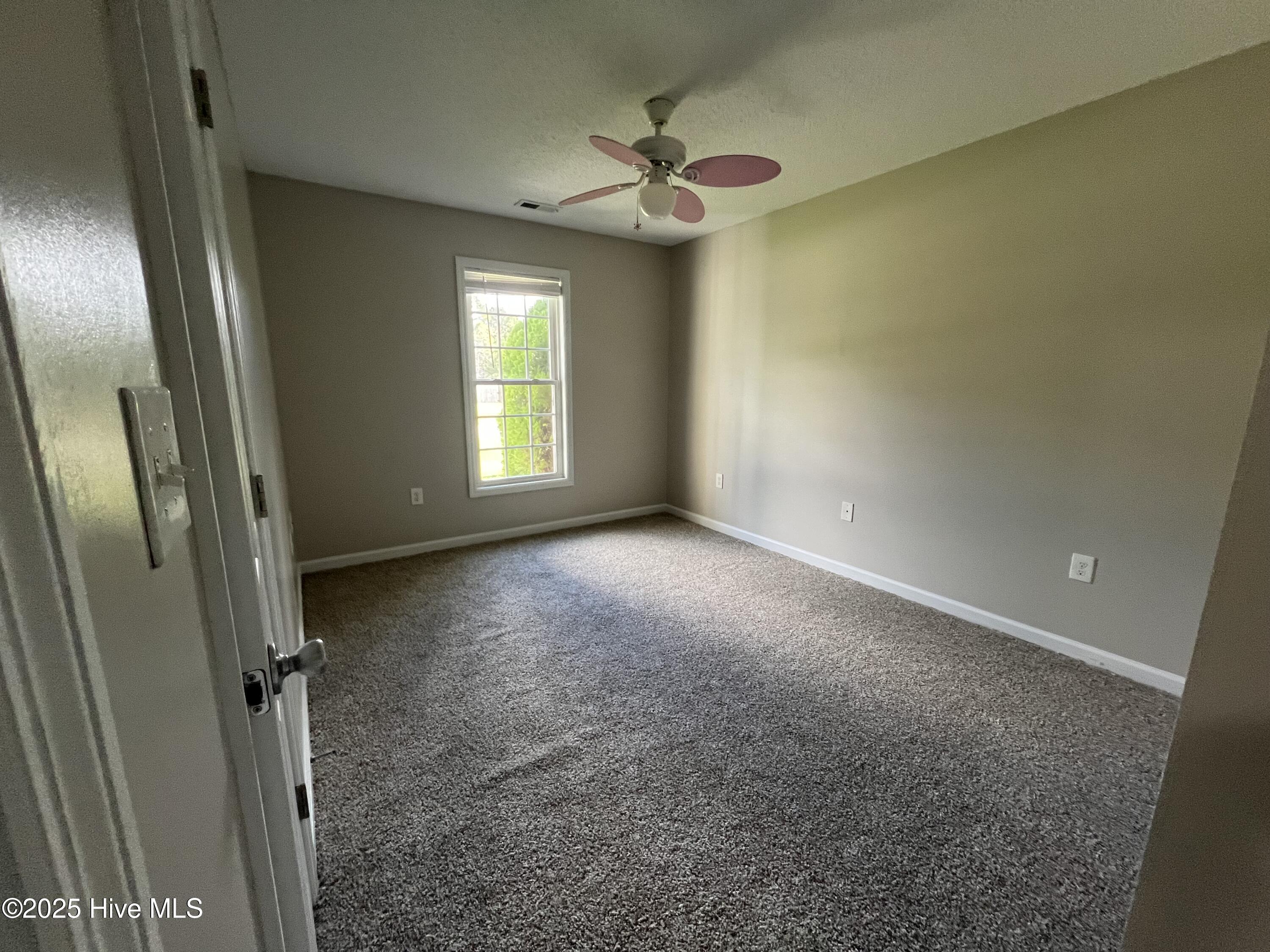 100529464 | Photo 12