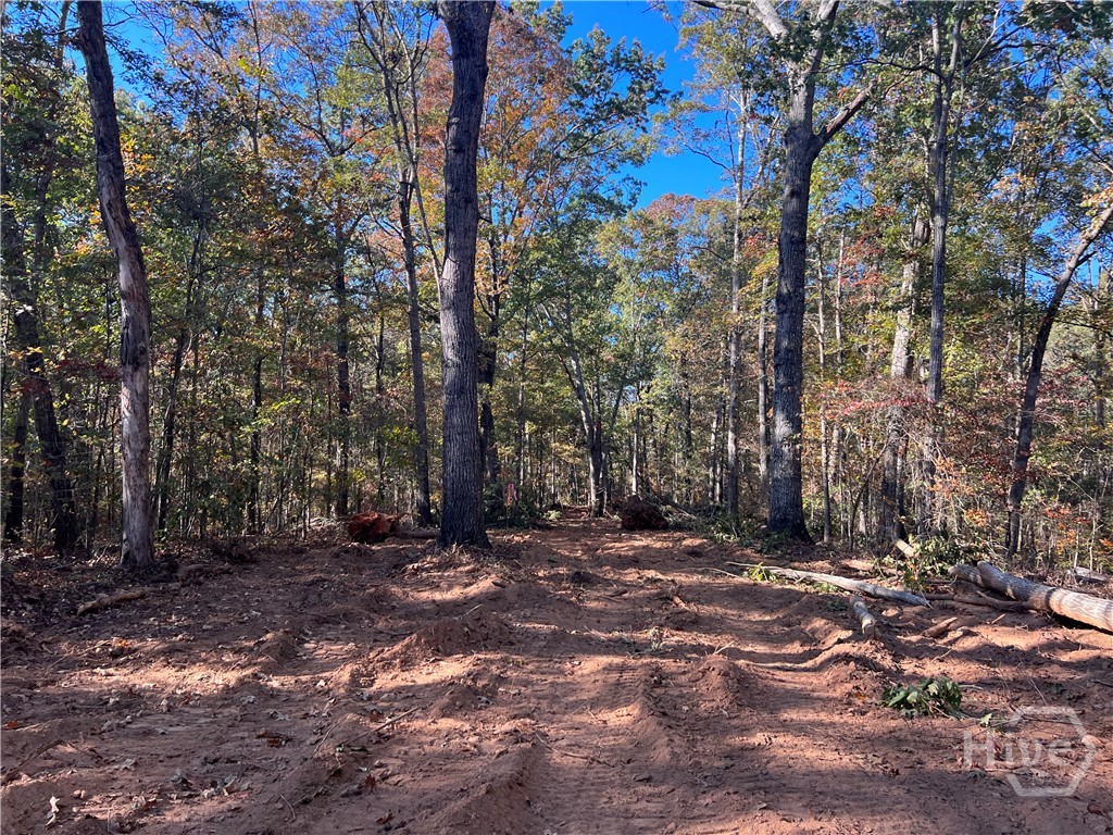 Property at 3 Curry Falls Trail Road