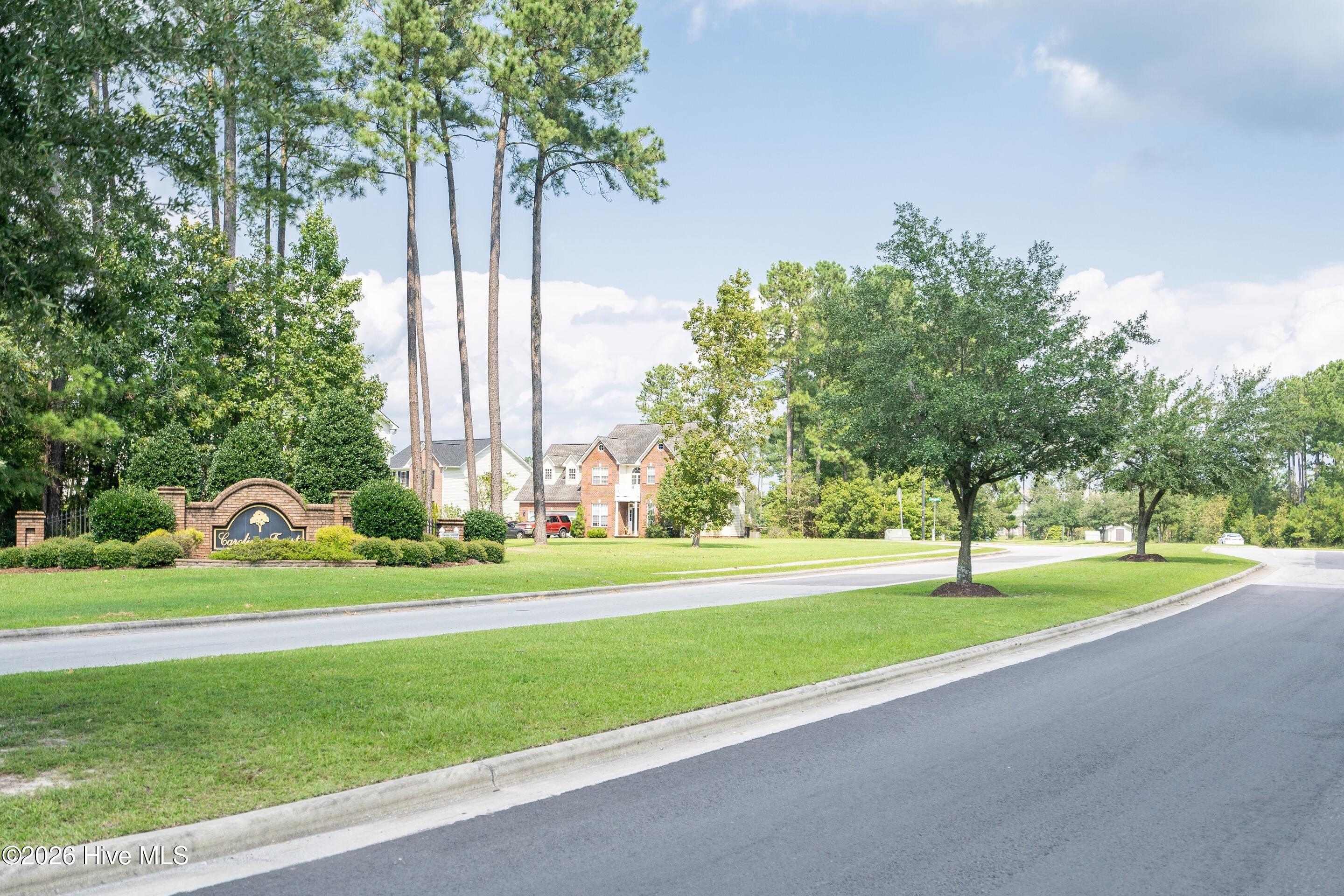 100561216 | Photo 40