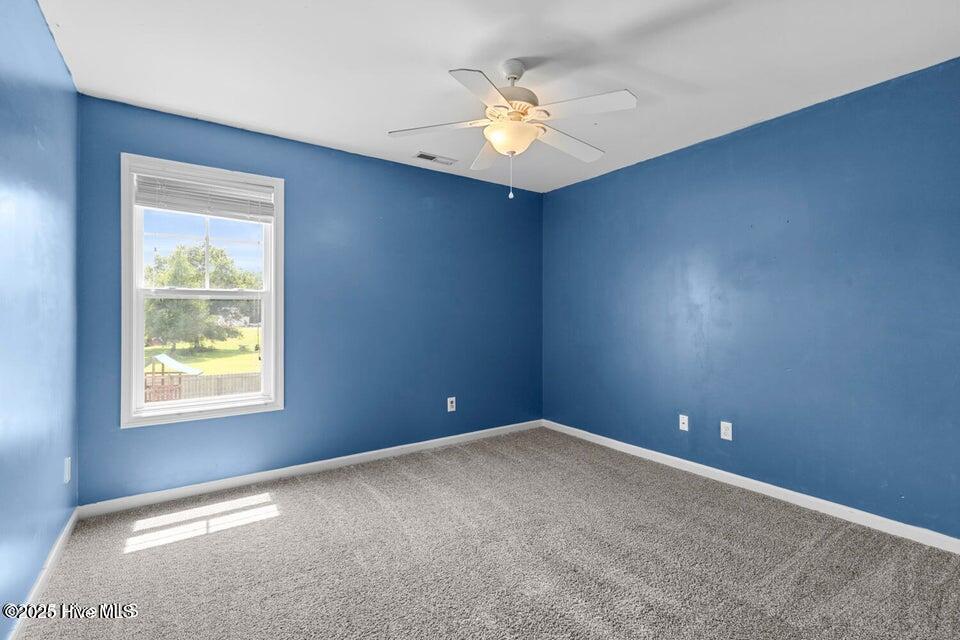 100530427 | Photo 19