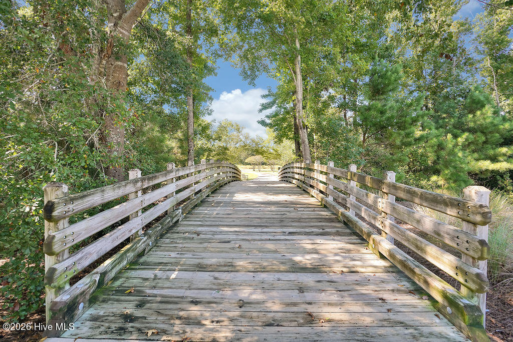 100565235 | Photo 153