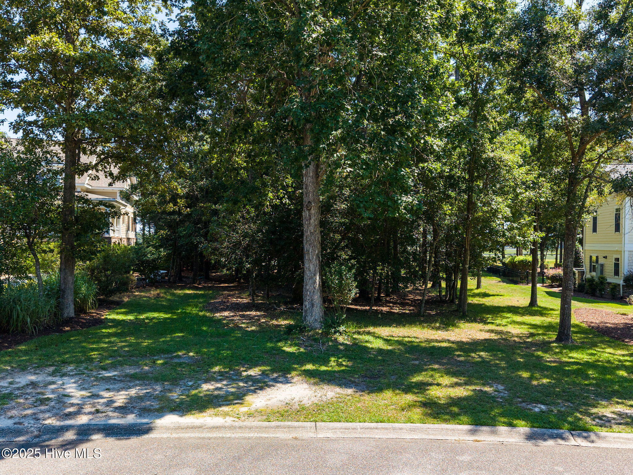 100530249 | Photo 10