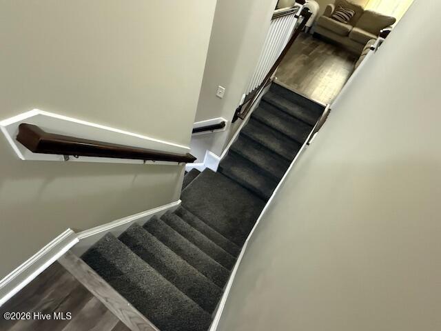 100568953 | Photo 27