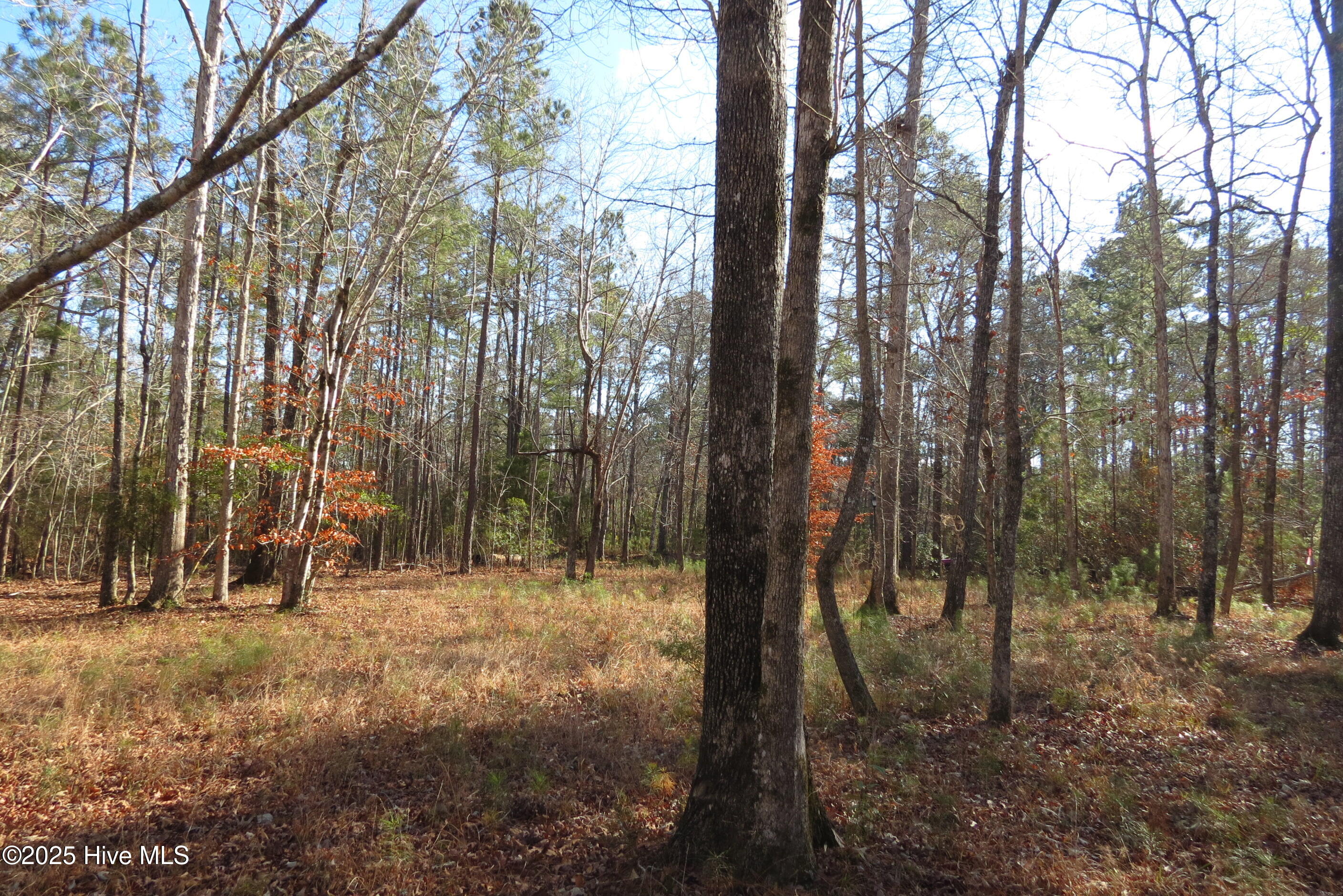 109 Winding Creek Drive, Oriental, NC, 28571