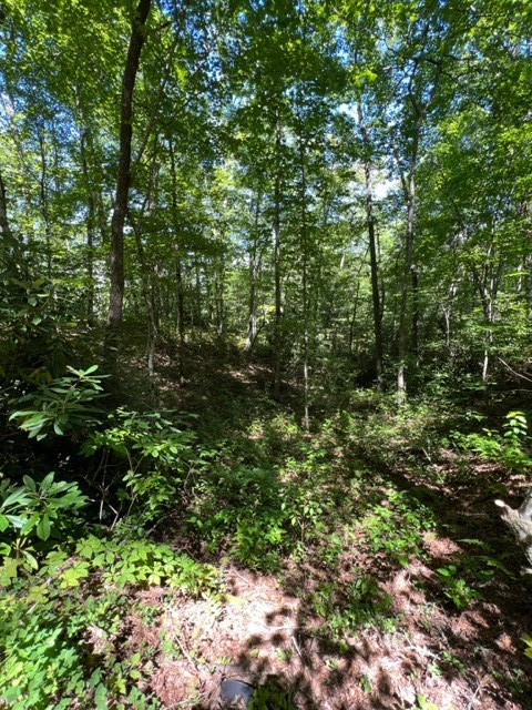 Exterior photo of 00 Pleasant View, Robbinsville, NC 28771. MLS: 98500532