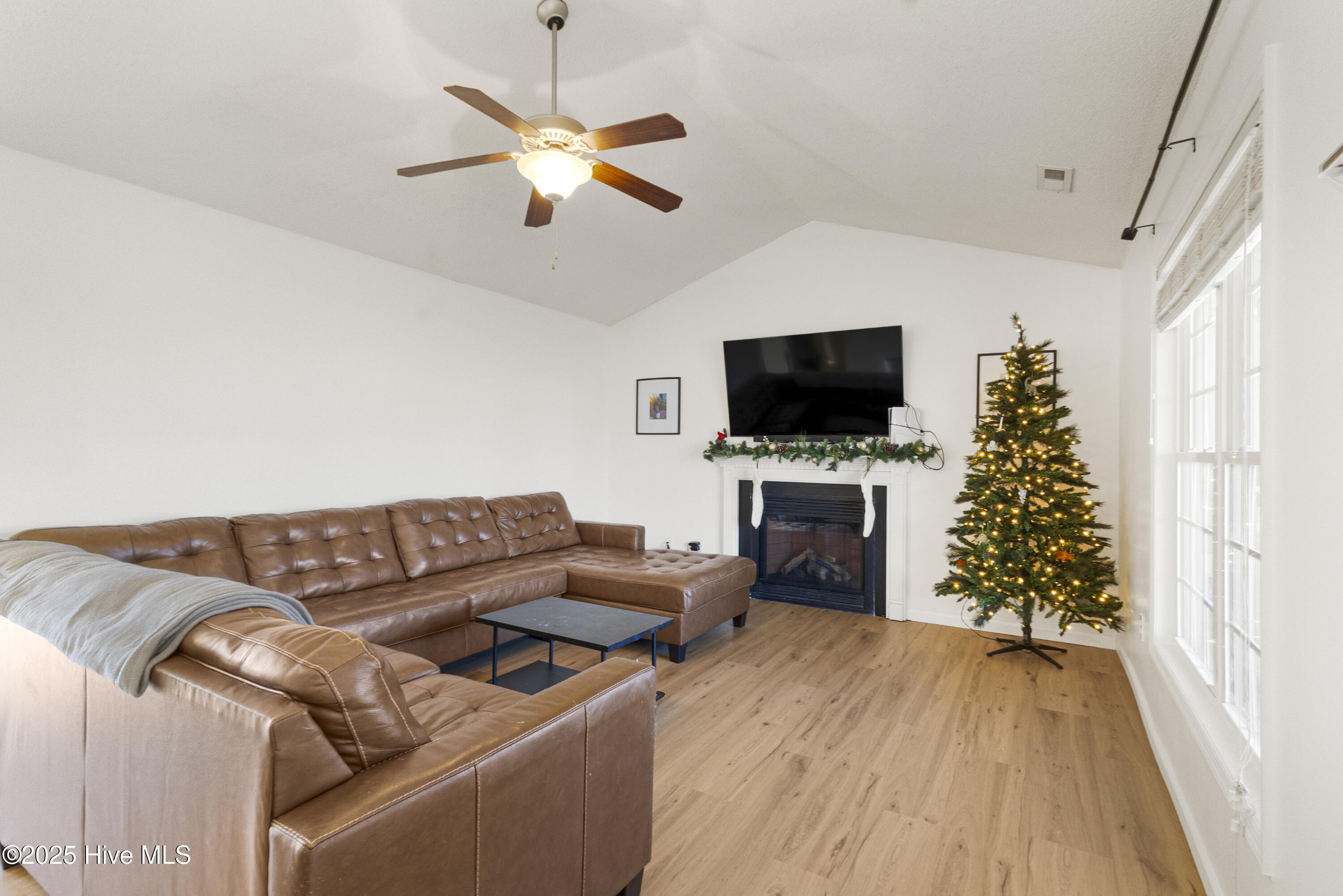 100545933 | Photo 10