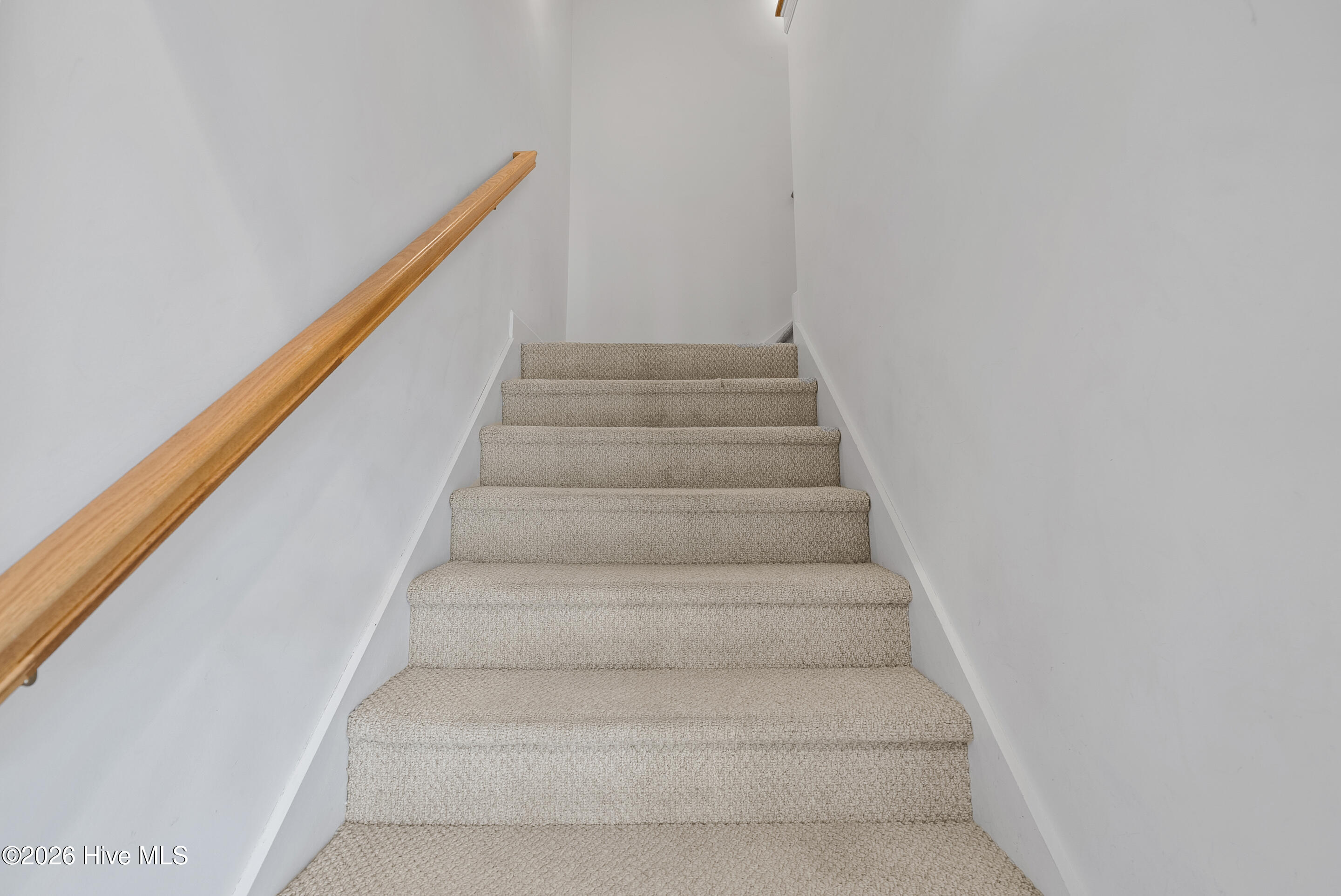 100558989 | Photo 29