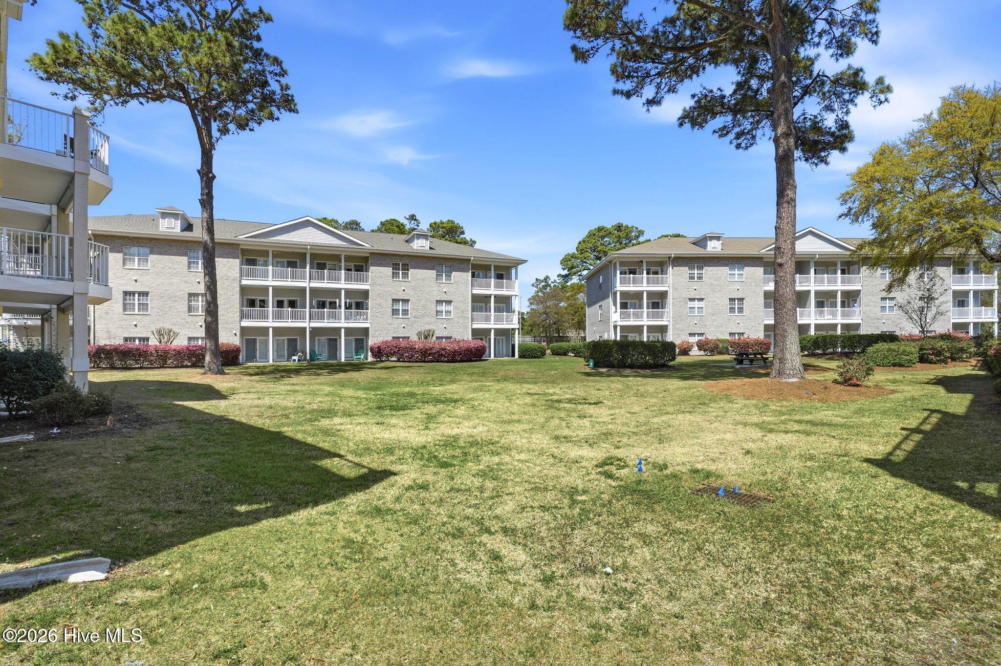 100564188 | Photo 26