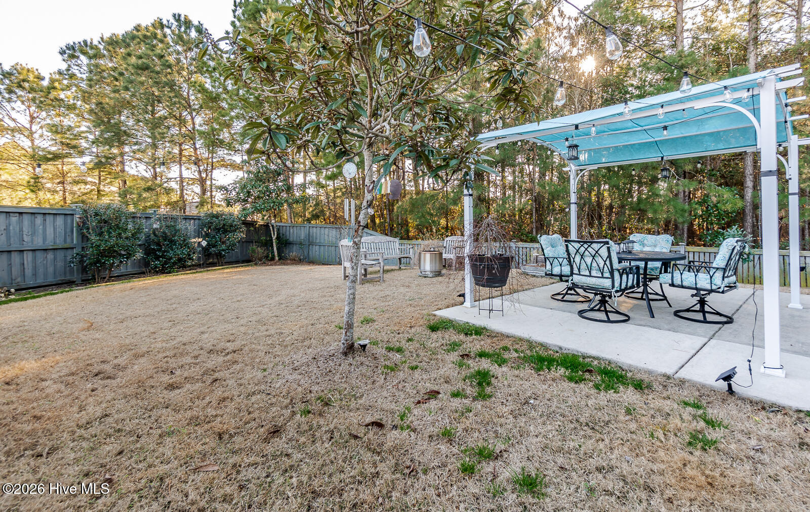 100558017 | Photo 41