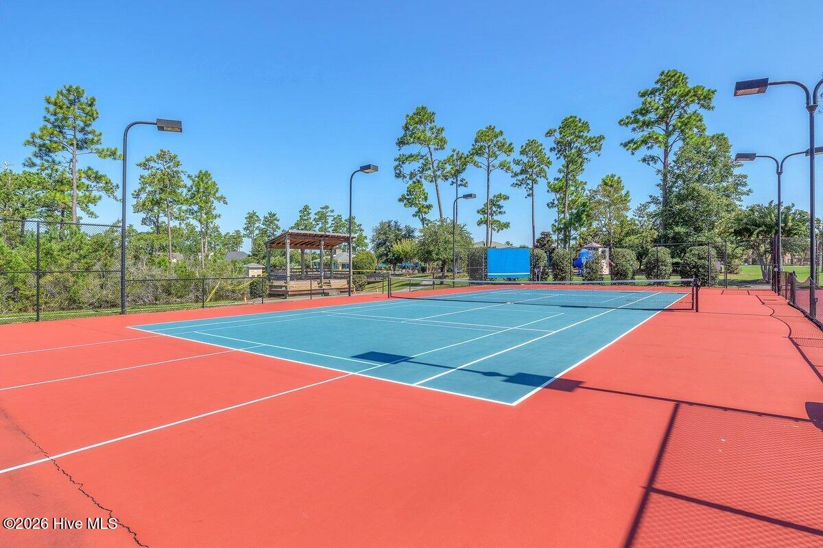 100556210 | Photo 86