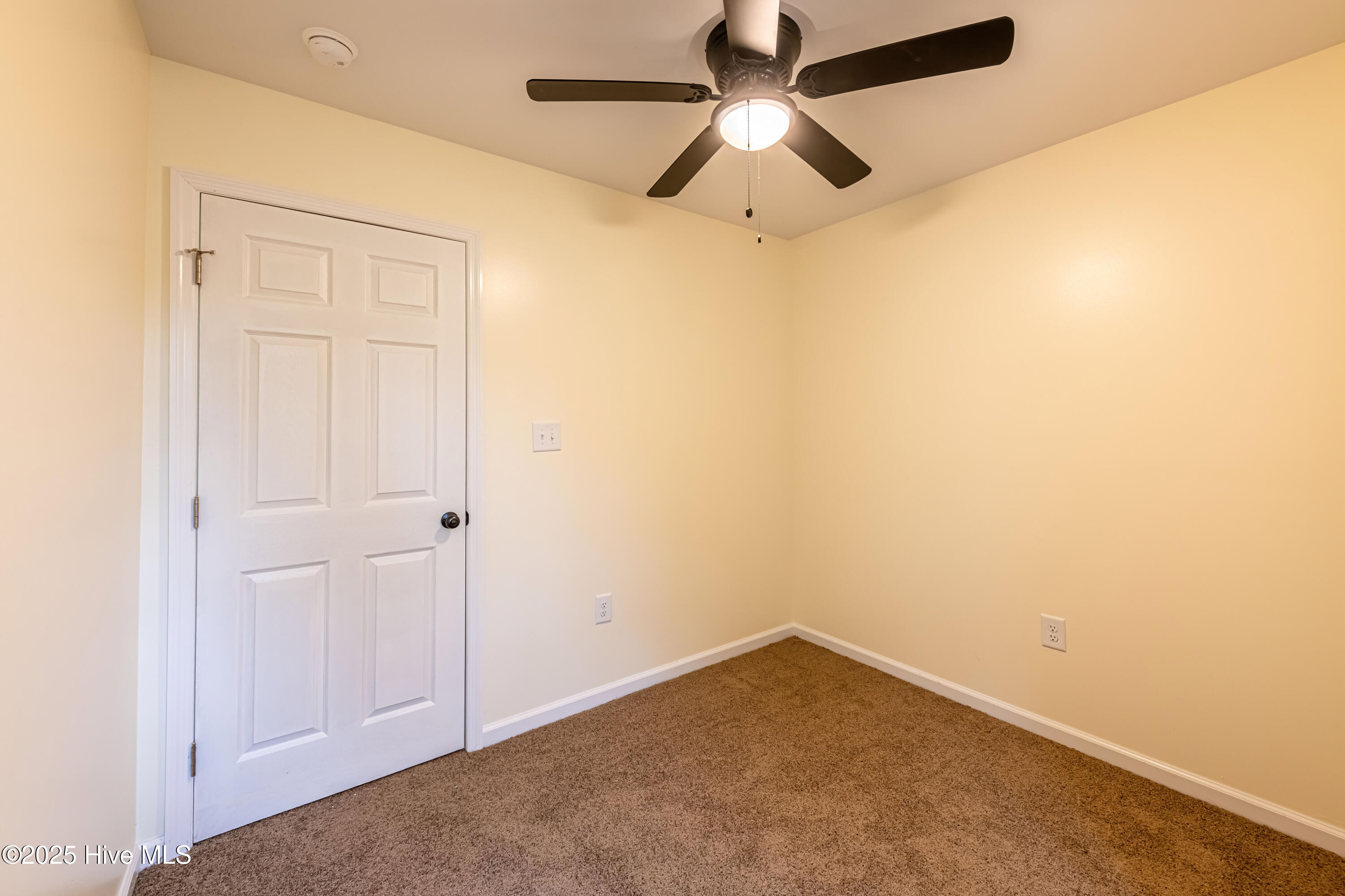 100538278 | Photo 34