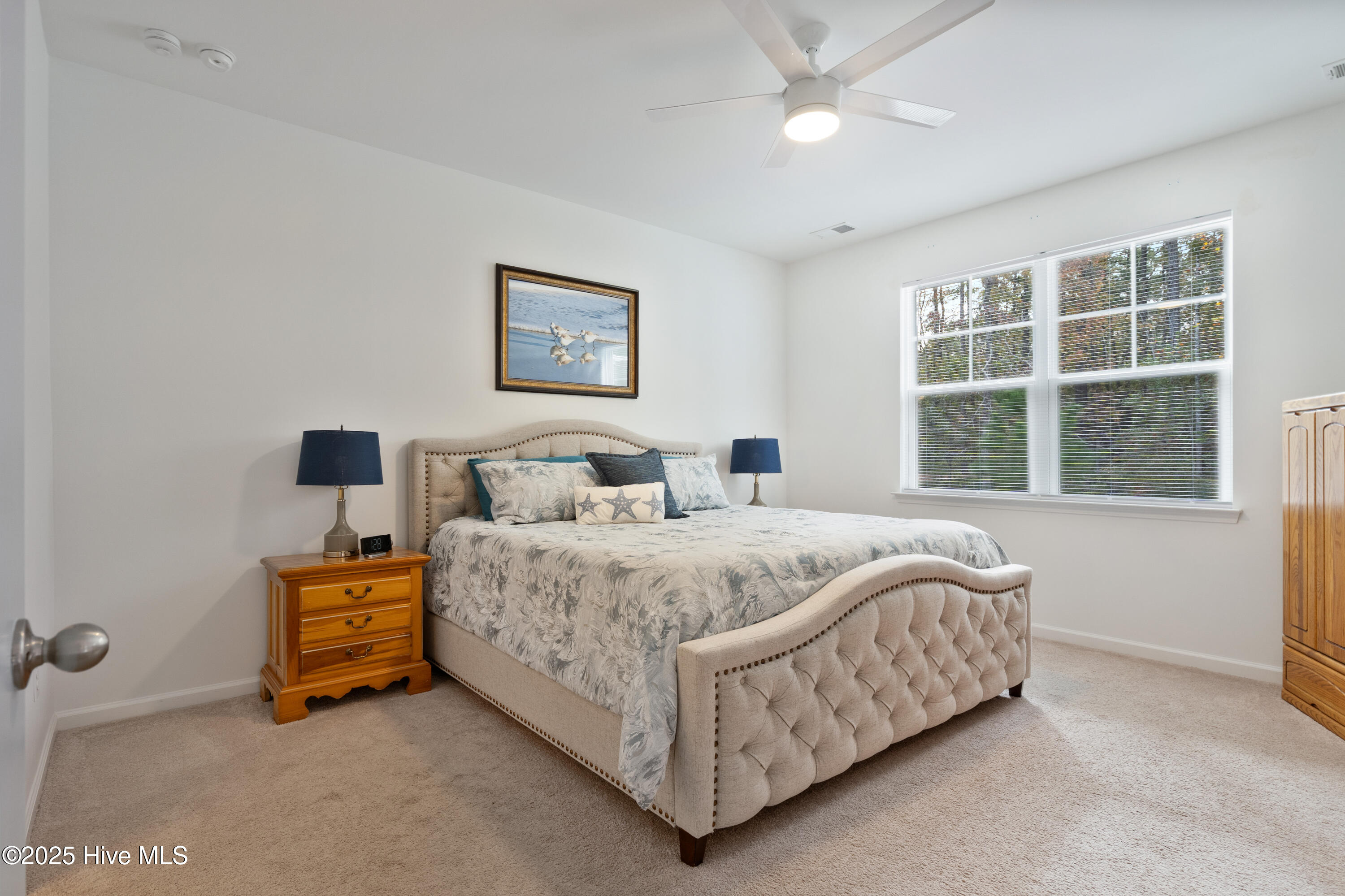 100541671 | Photo 24