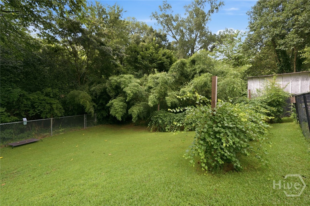 Fenced backyard with grapevines