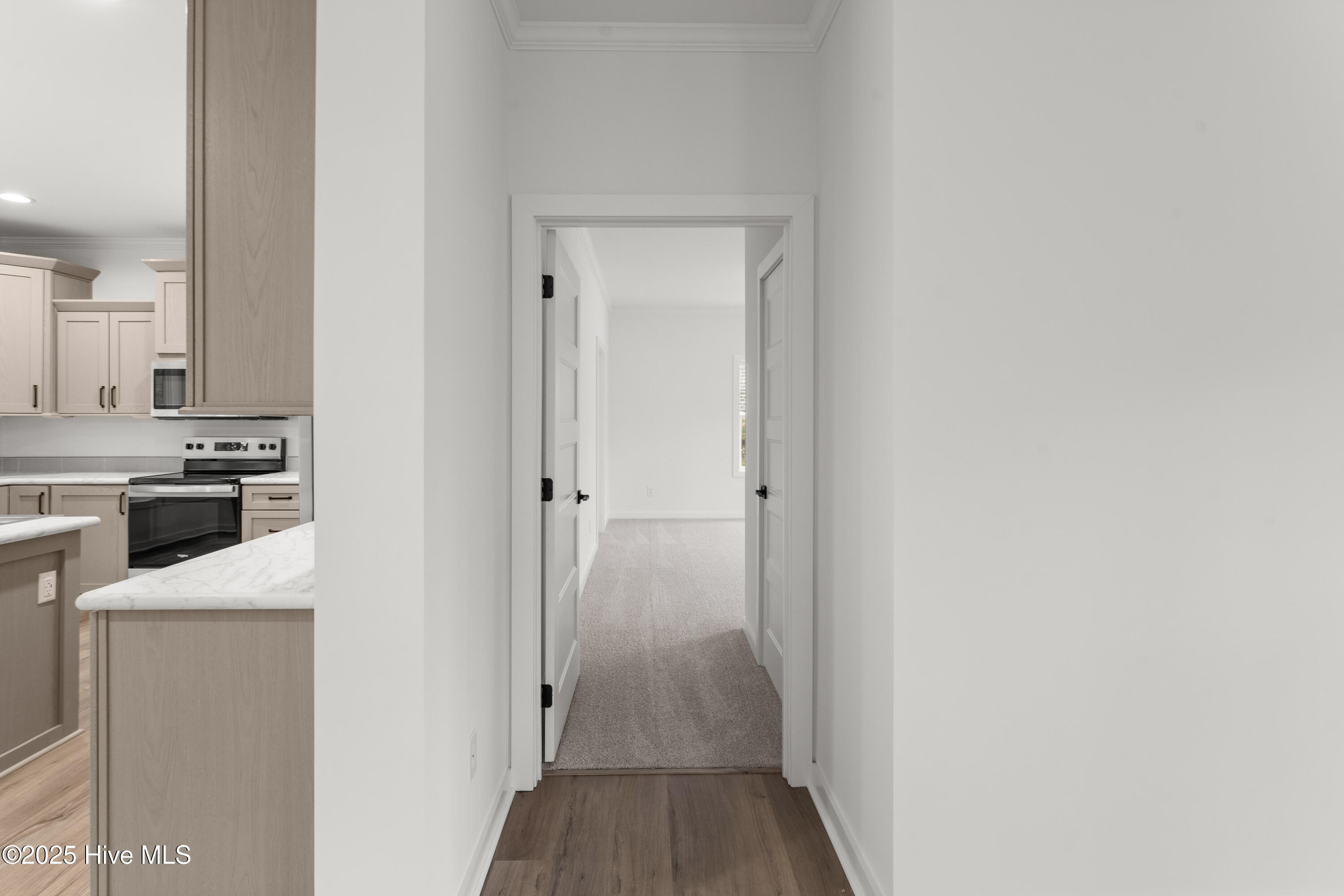 100546141 | Photo 12