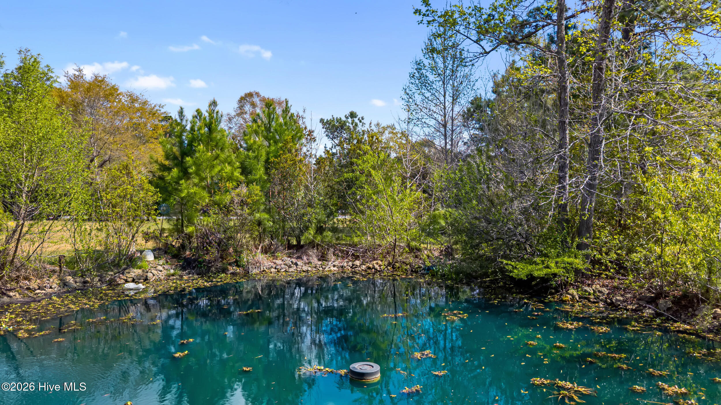 100563563 | Photo 49