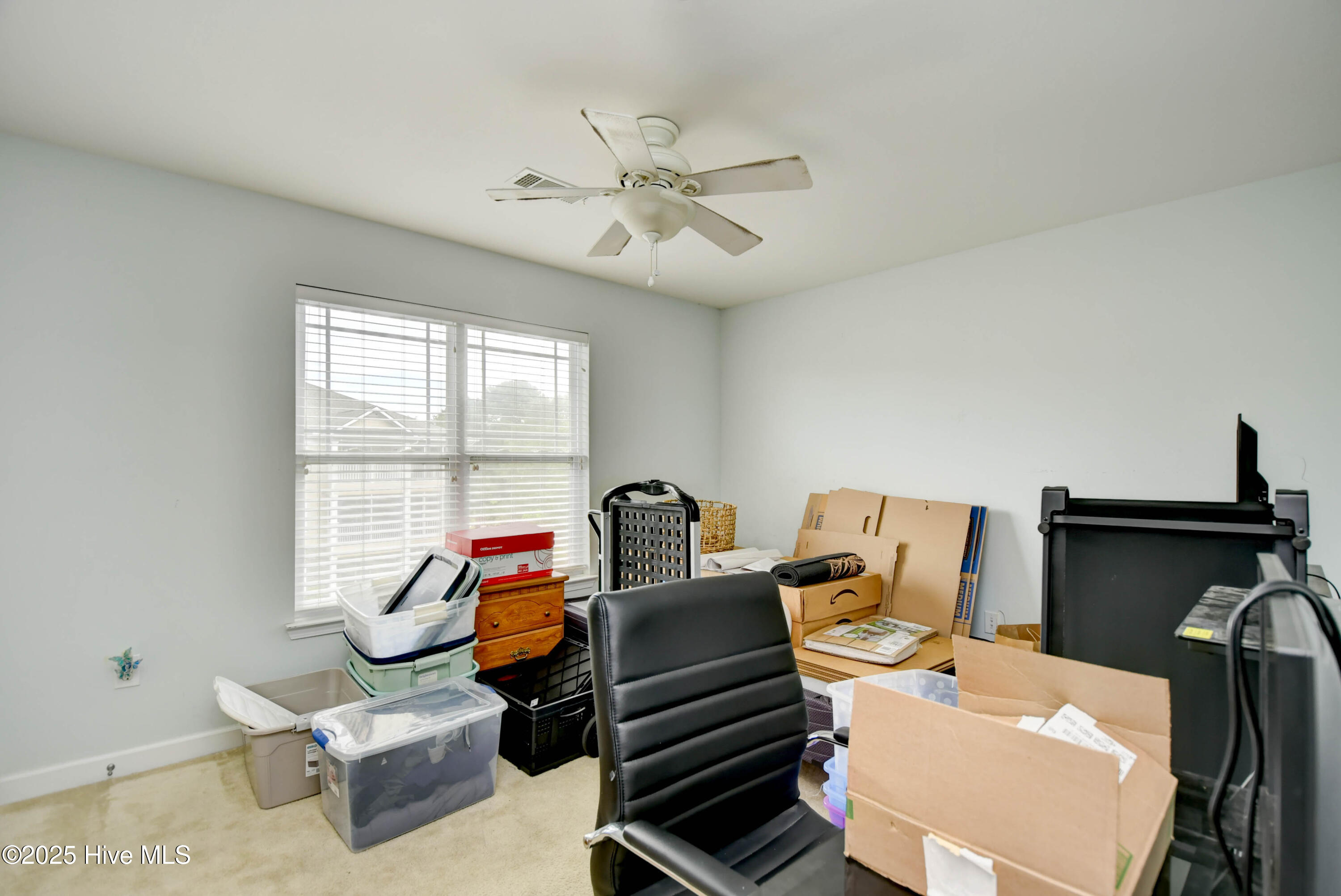 100523607 | Photo 25