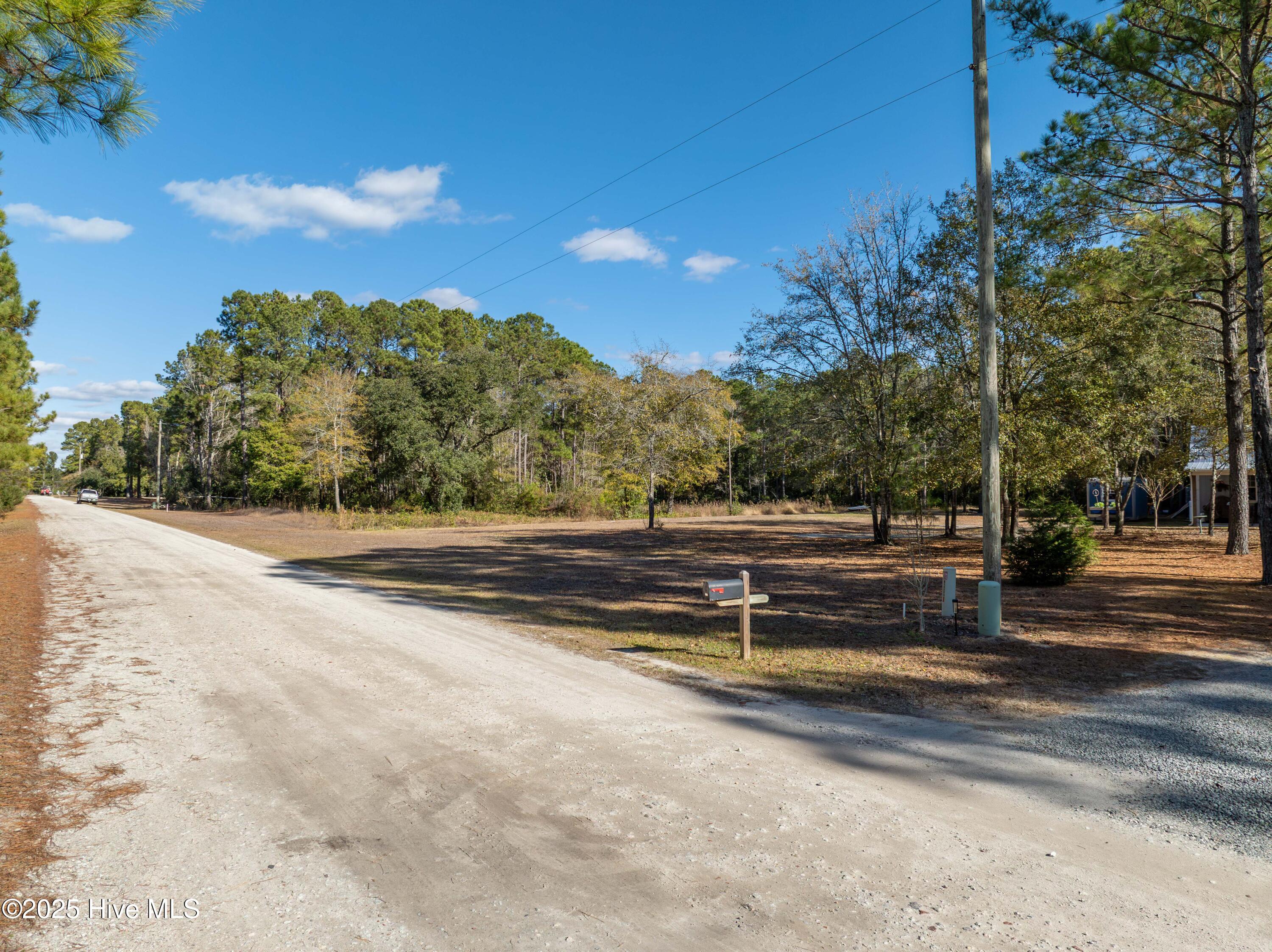 100545441 | Photo 13