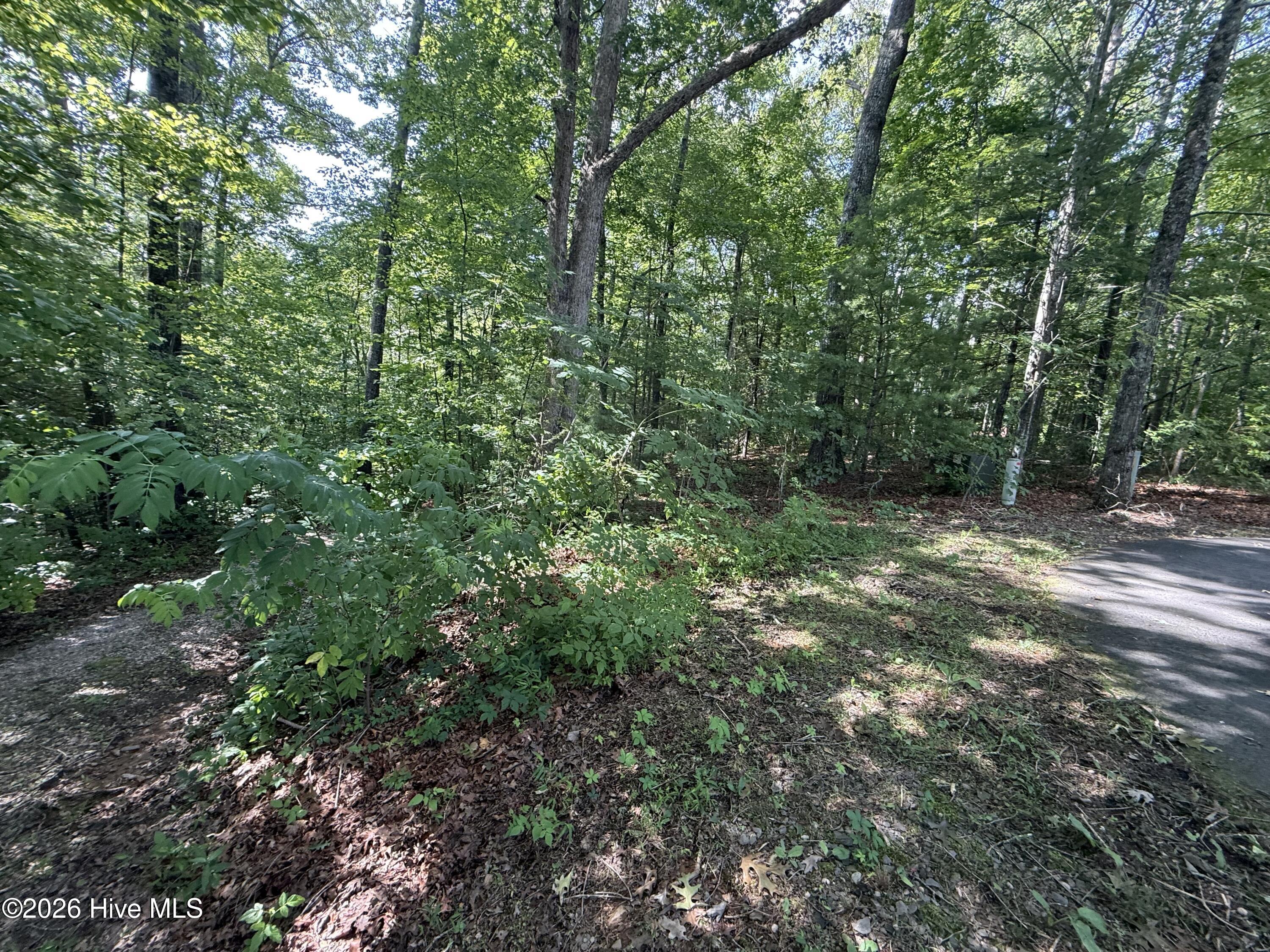 Listing Photo 100588434